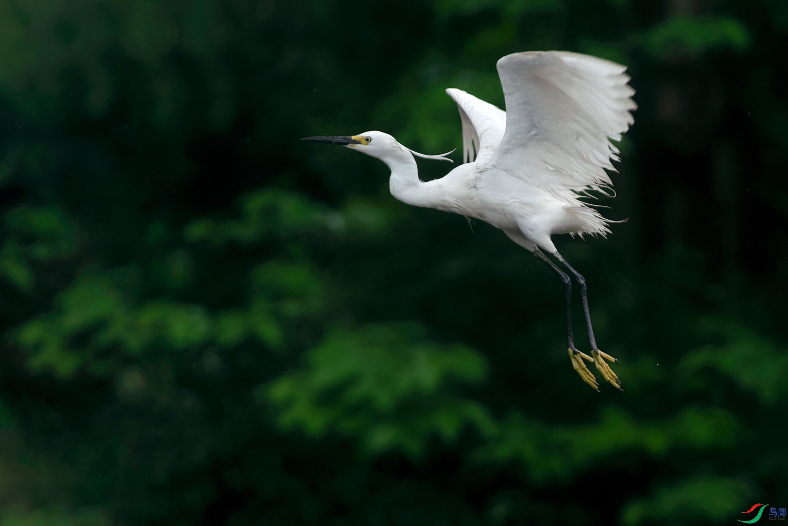 2DSC_0572_DxOa.jpg