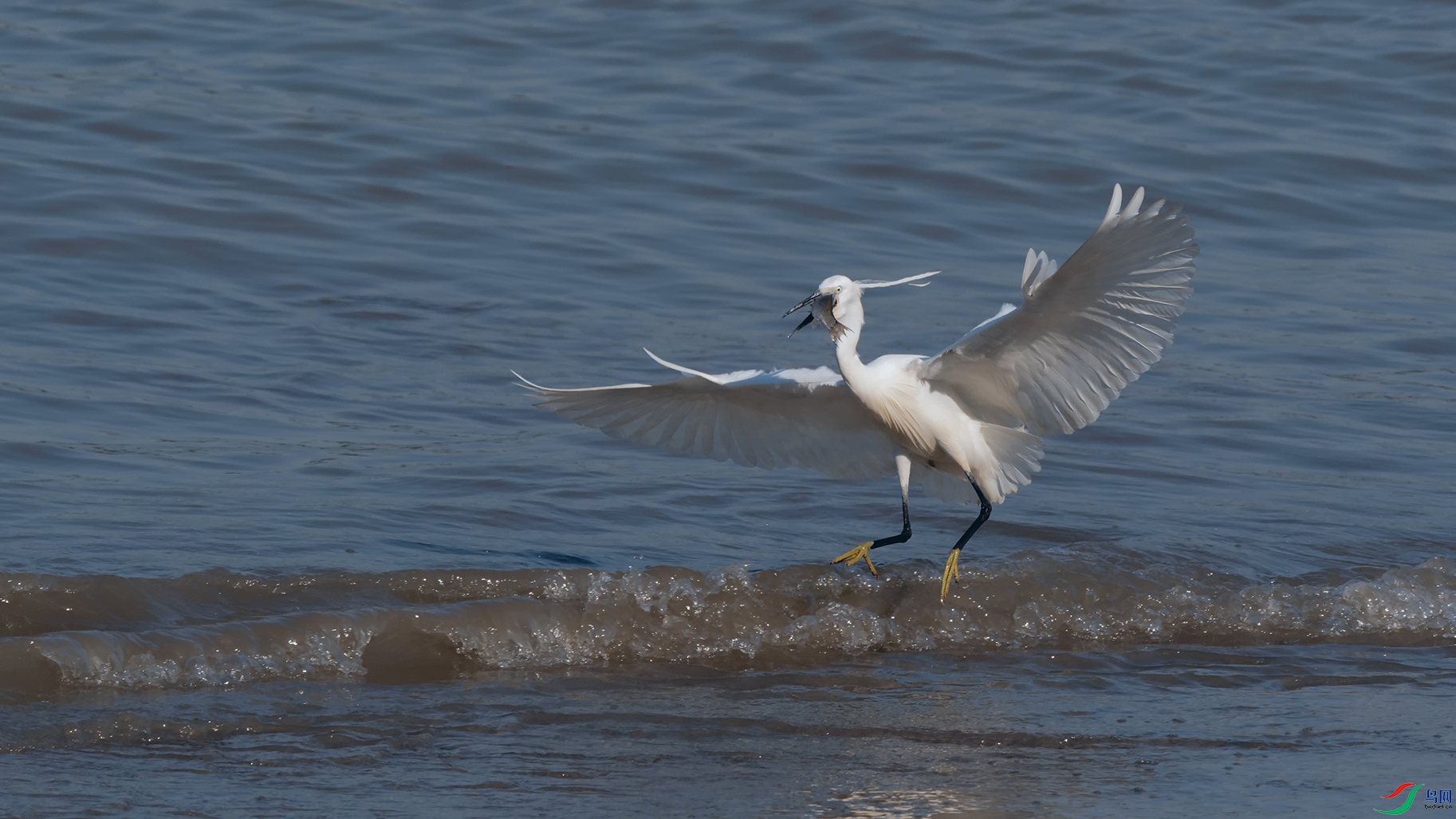 1DSC_6357_DxOa.jpg