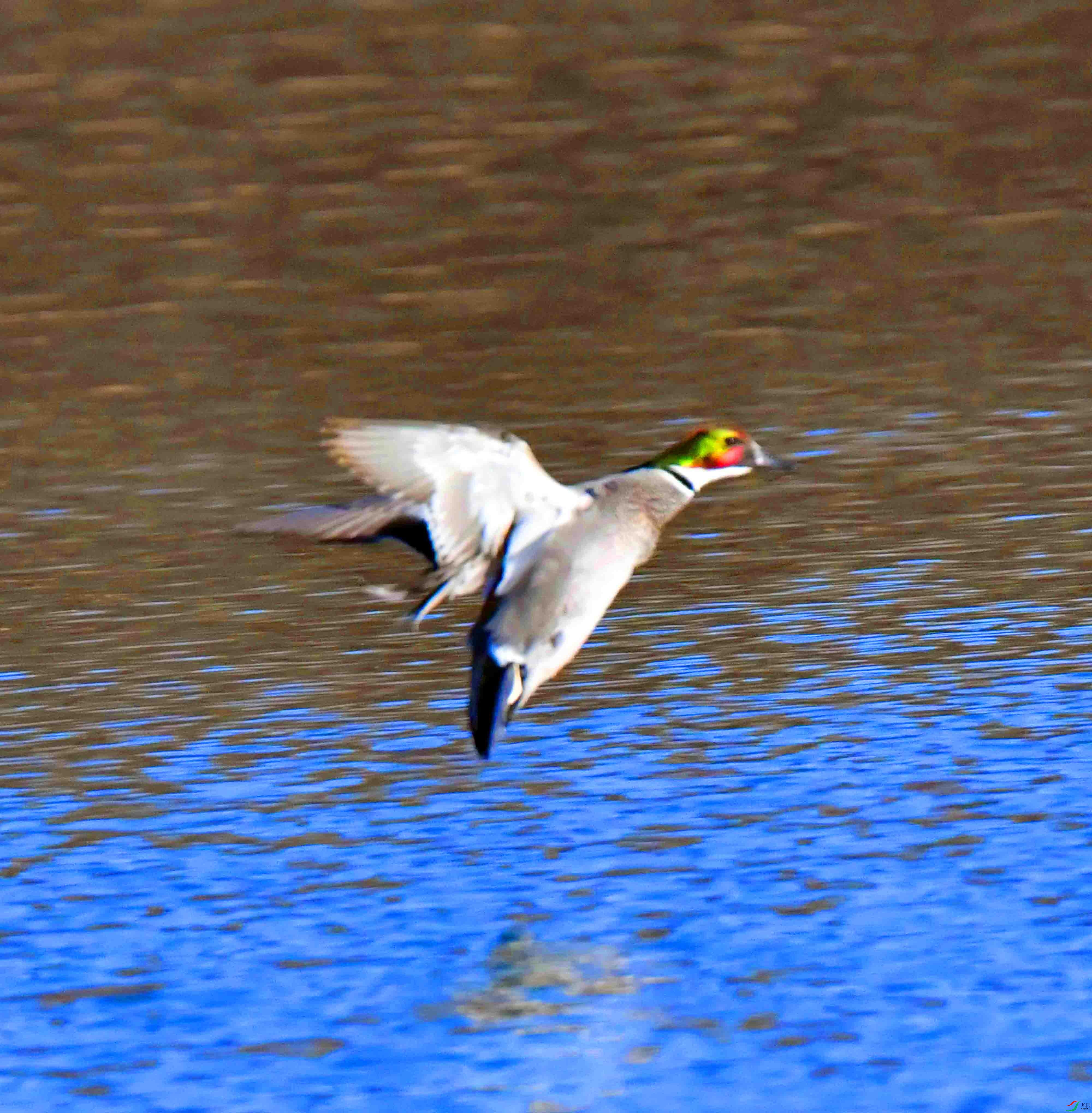 DSC_2862.JPG