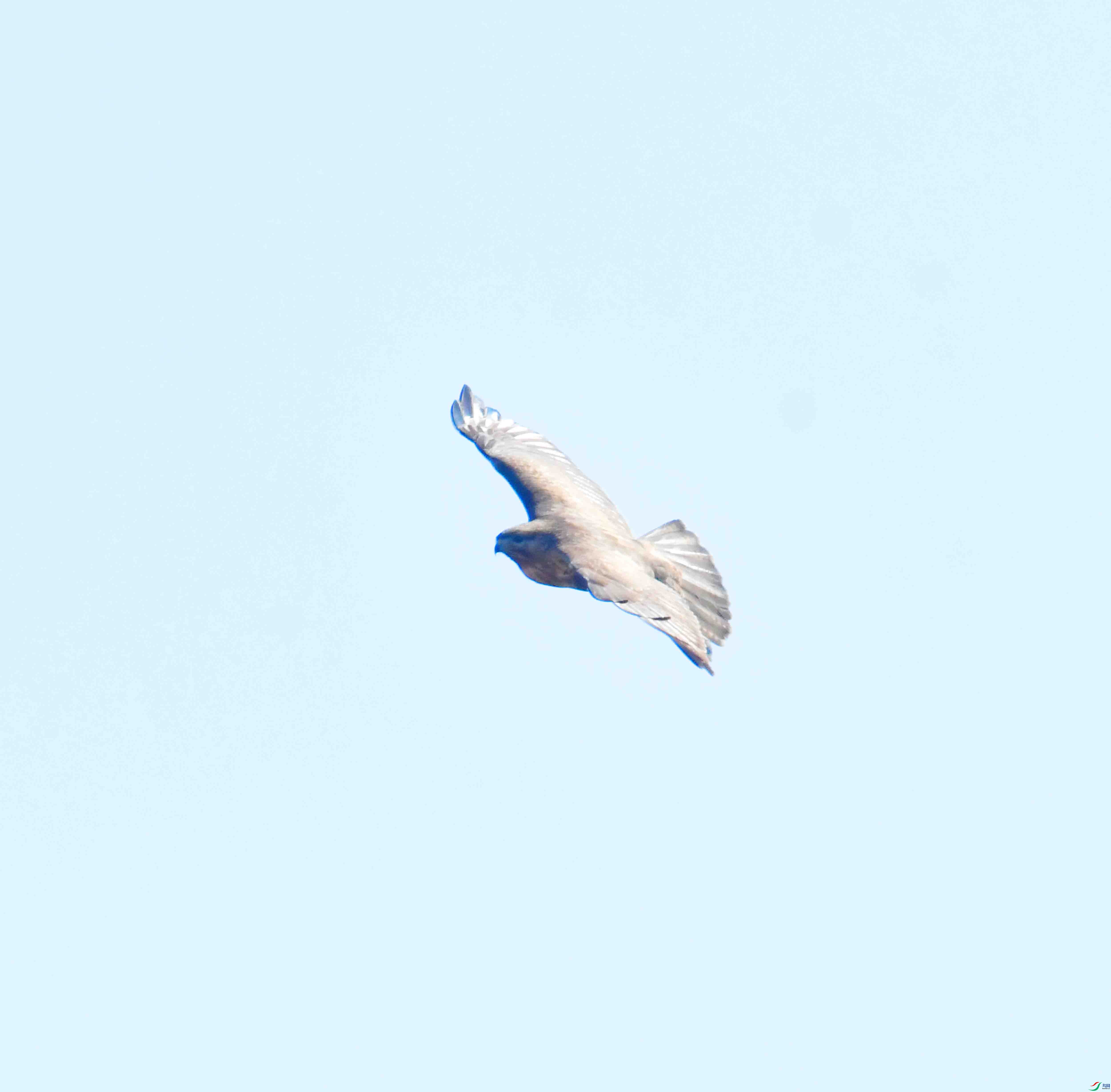 DSC_0676.JPG