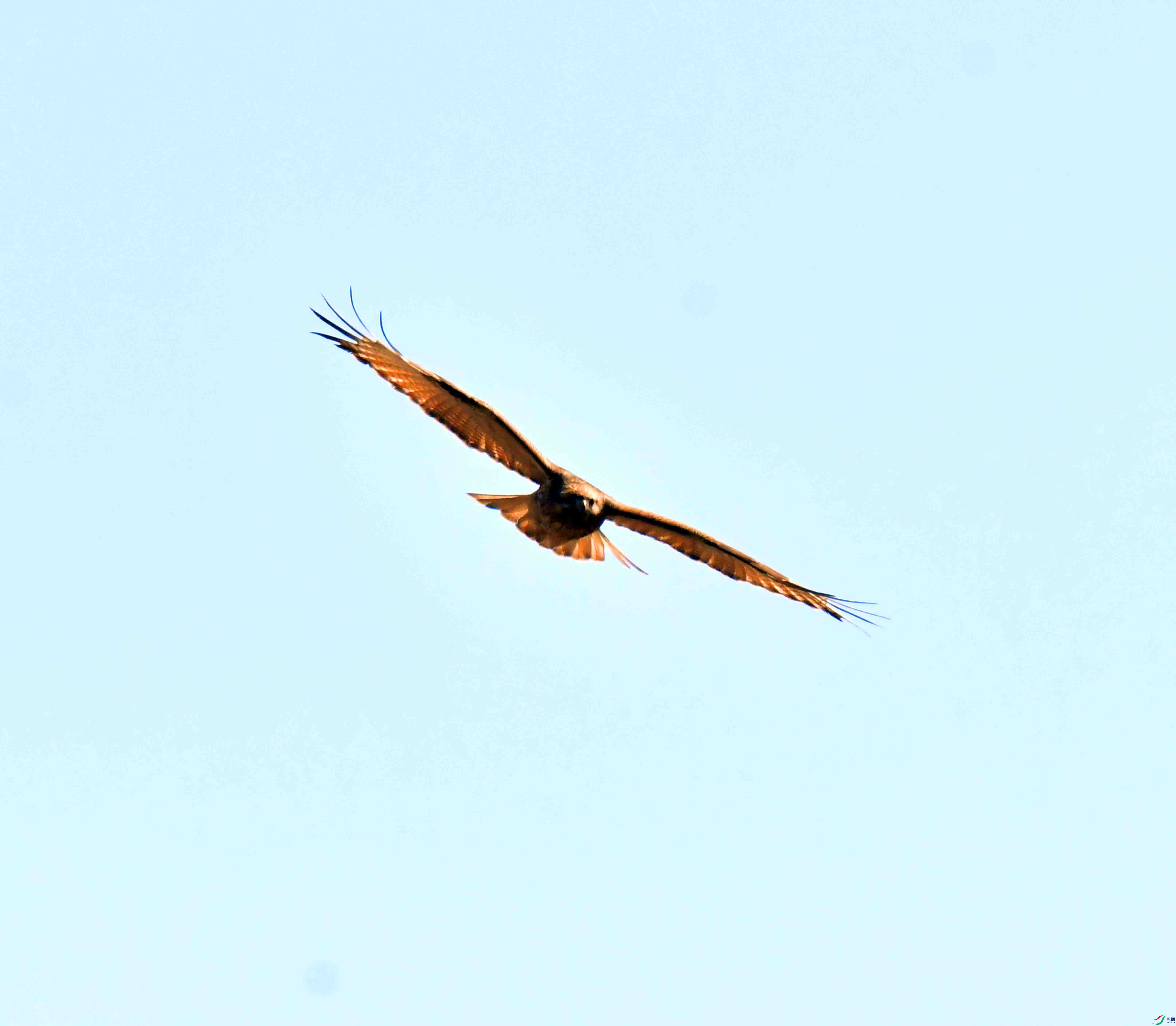DSC_0678.JPG