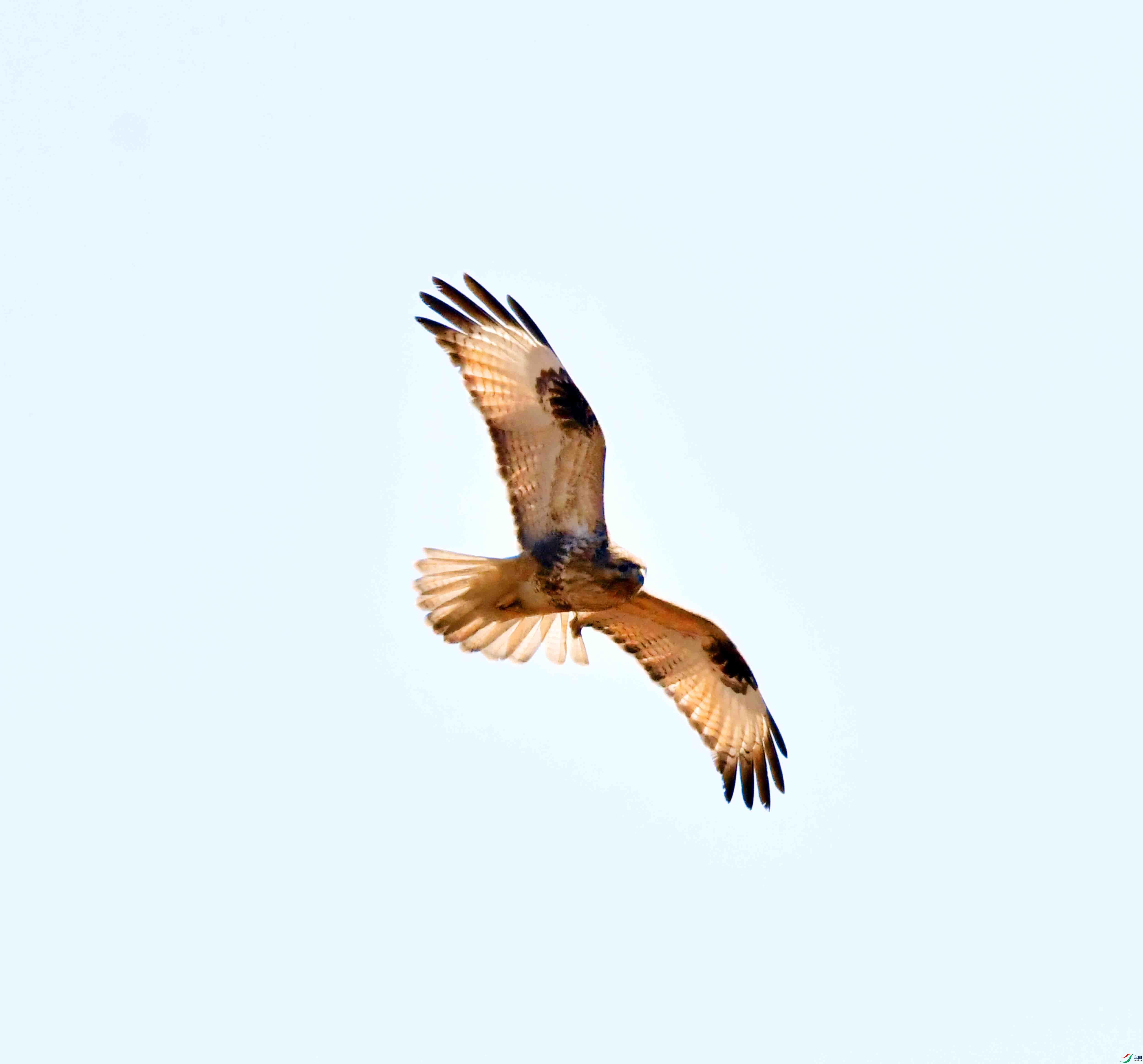 DSC_0680.JPG
