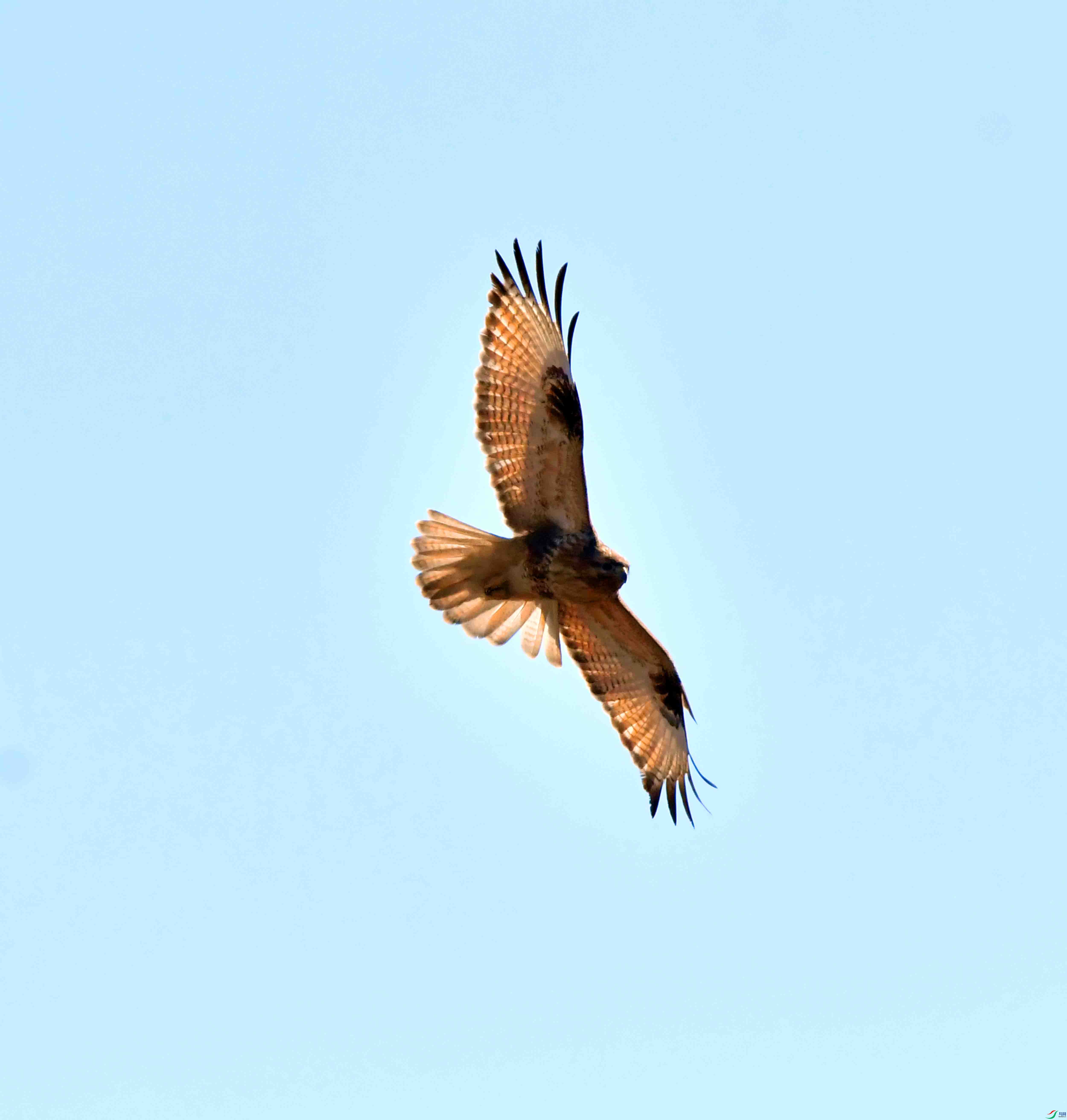 DSC_0681.JPG