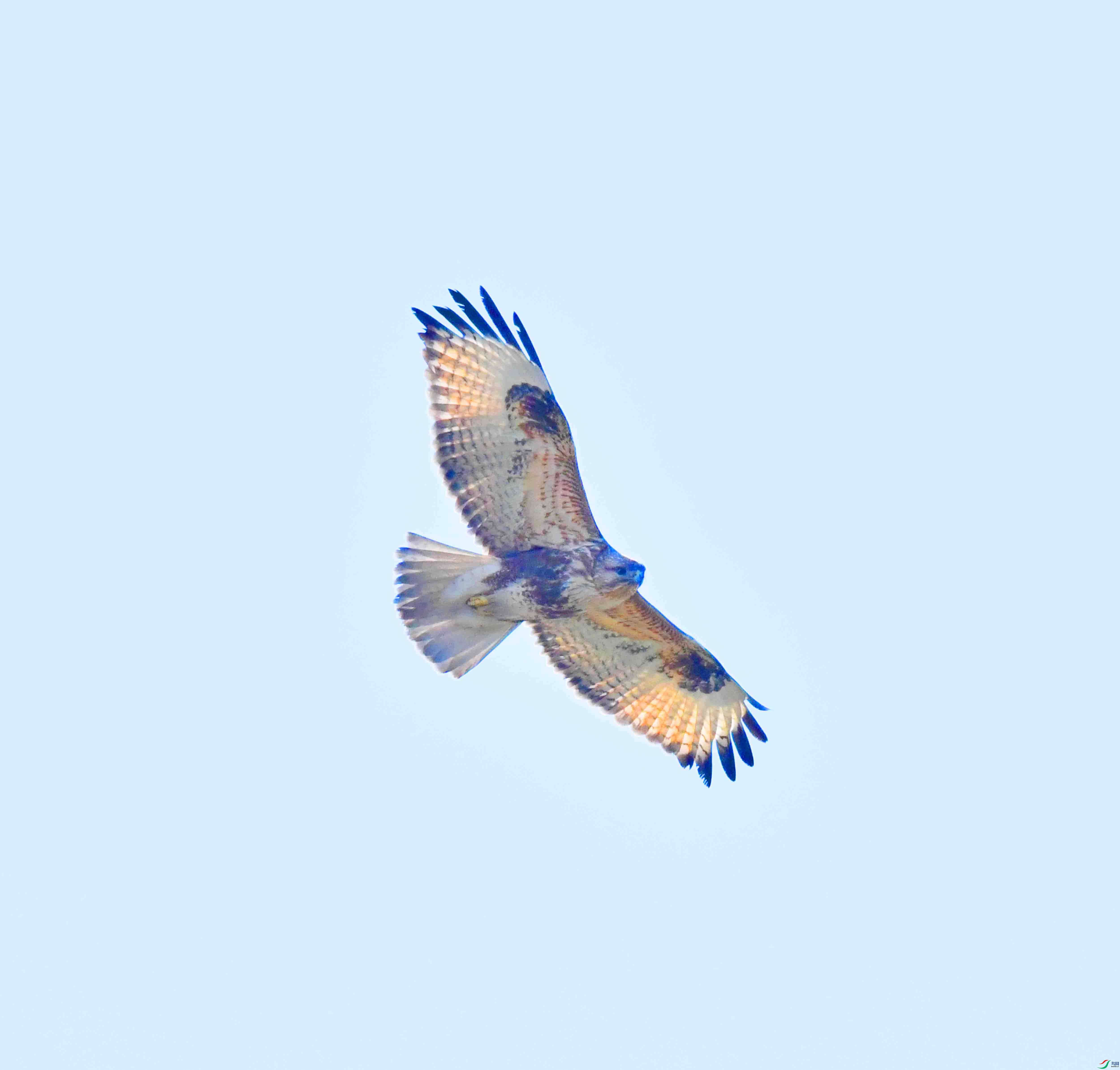 DSC_0784.JPG