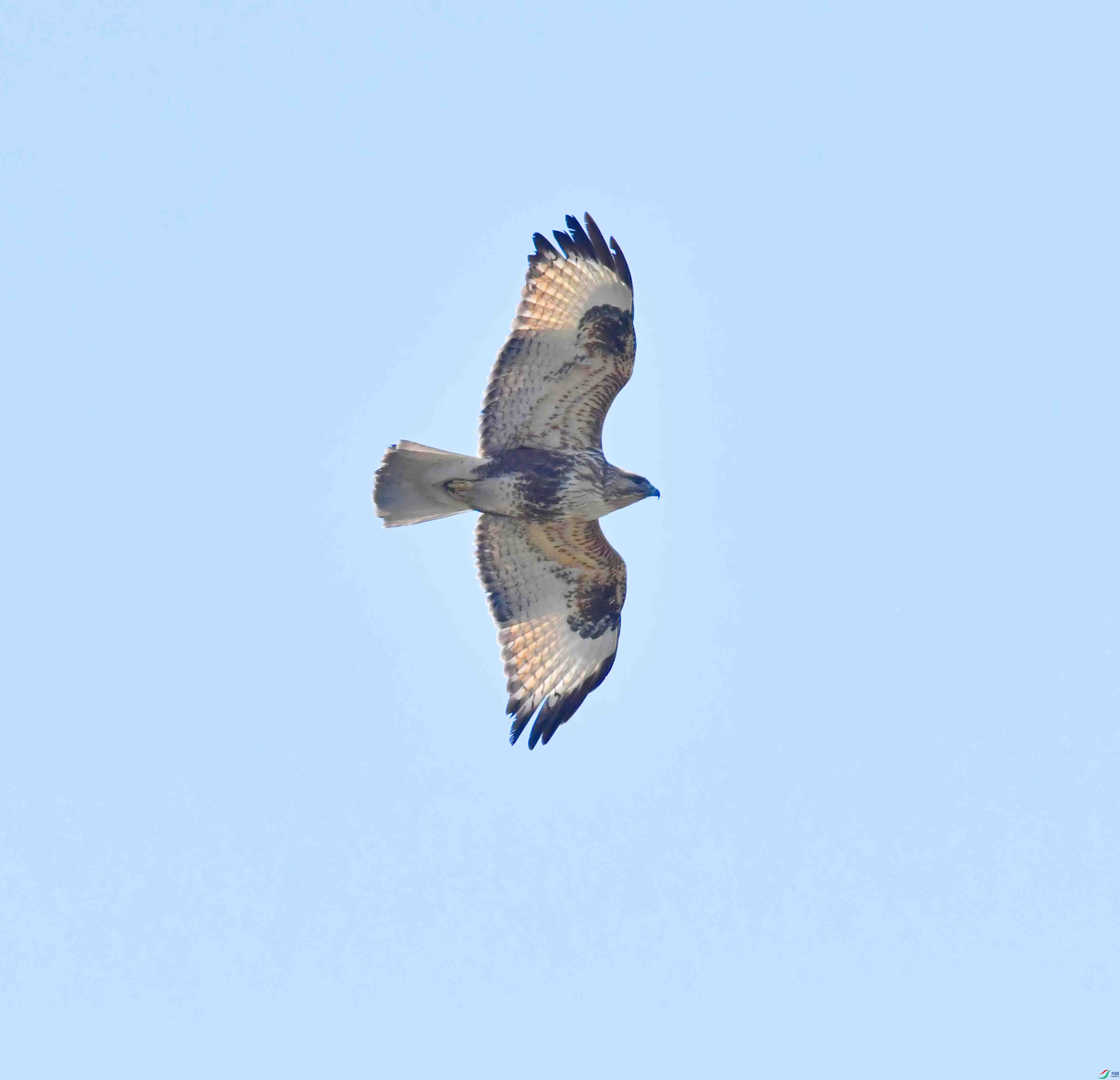 DSC_0786.JPG