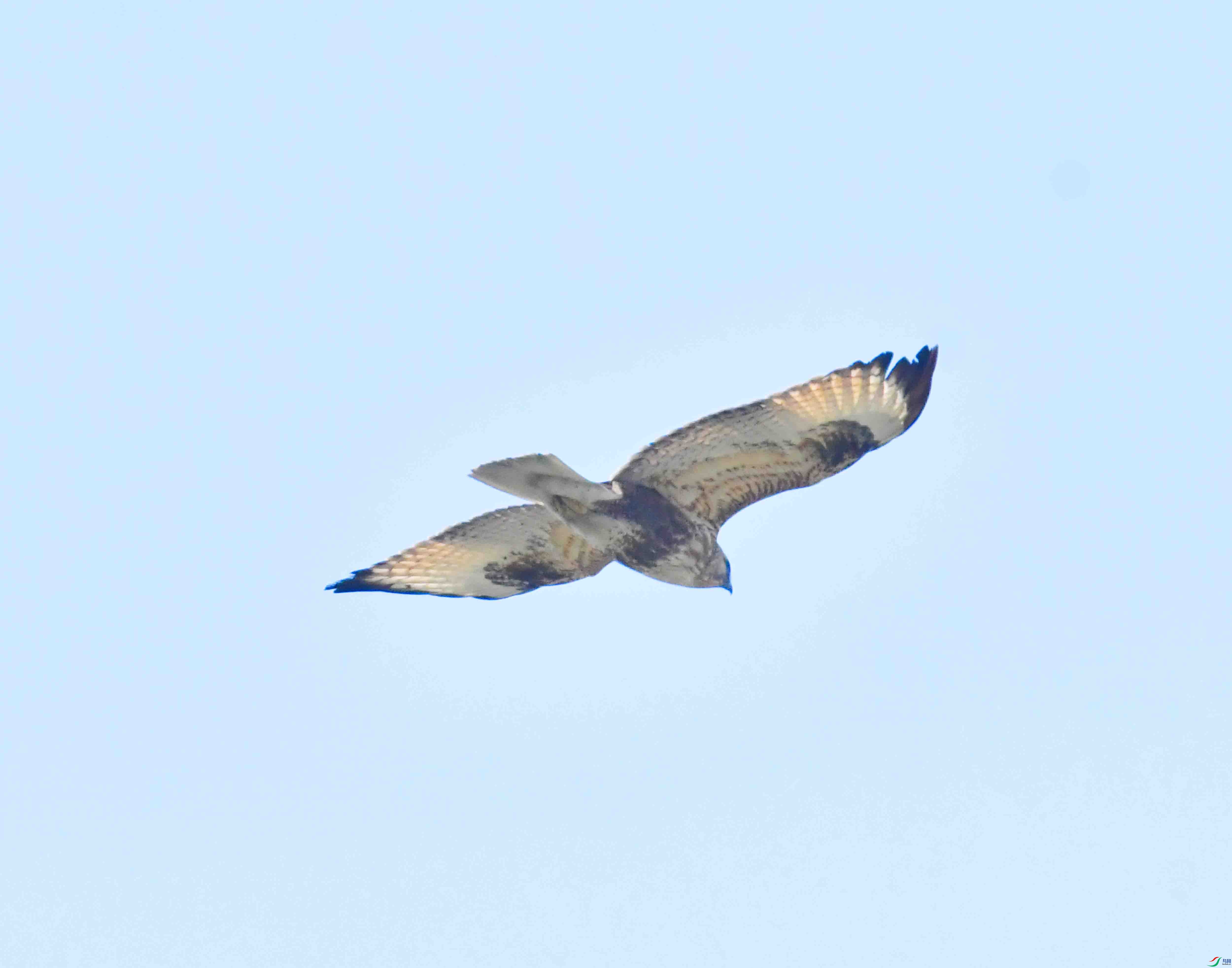 DSC_0789.JPG
