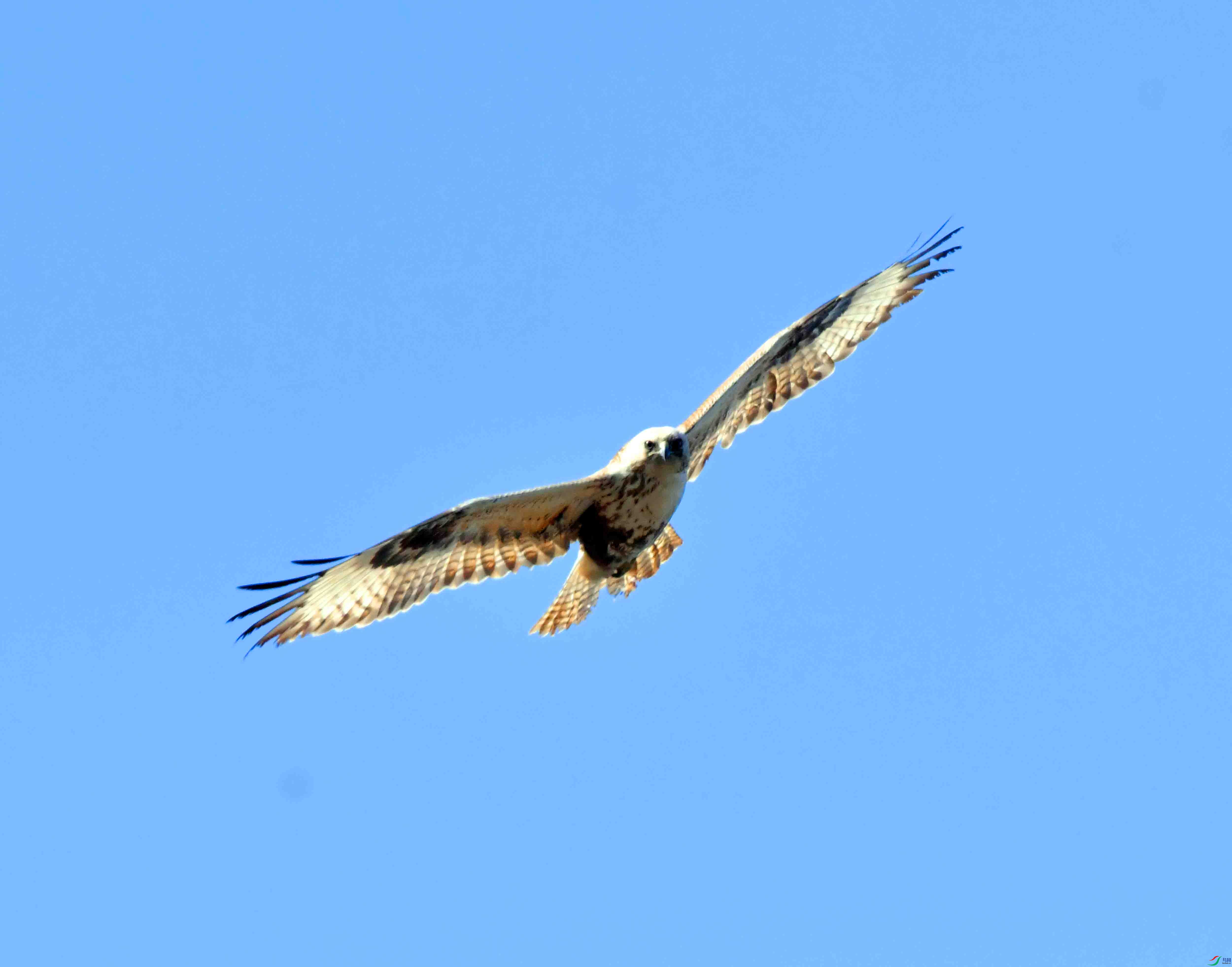 DSC_0892.JPG