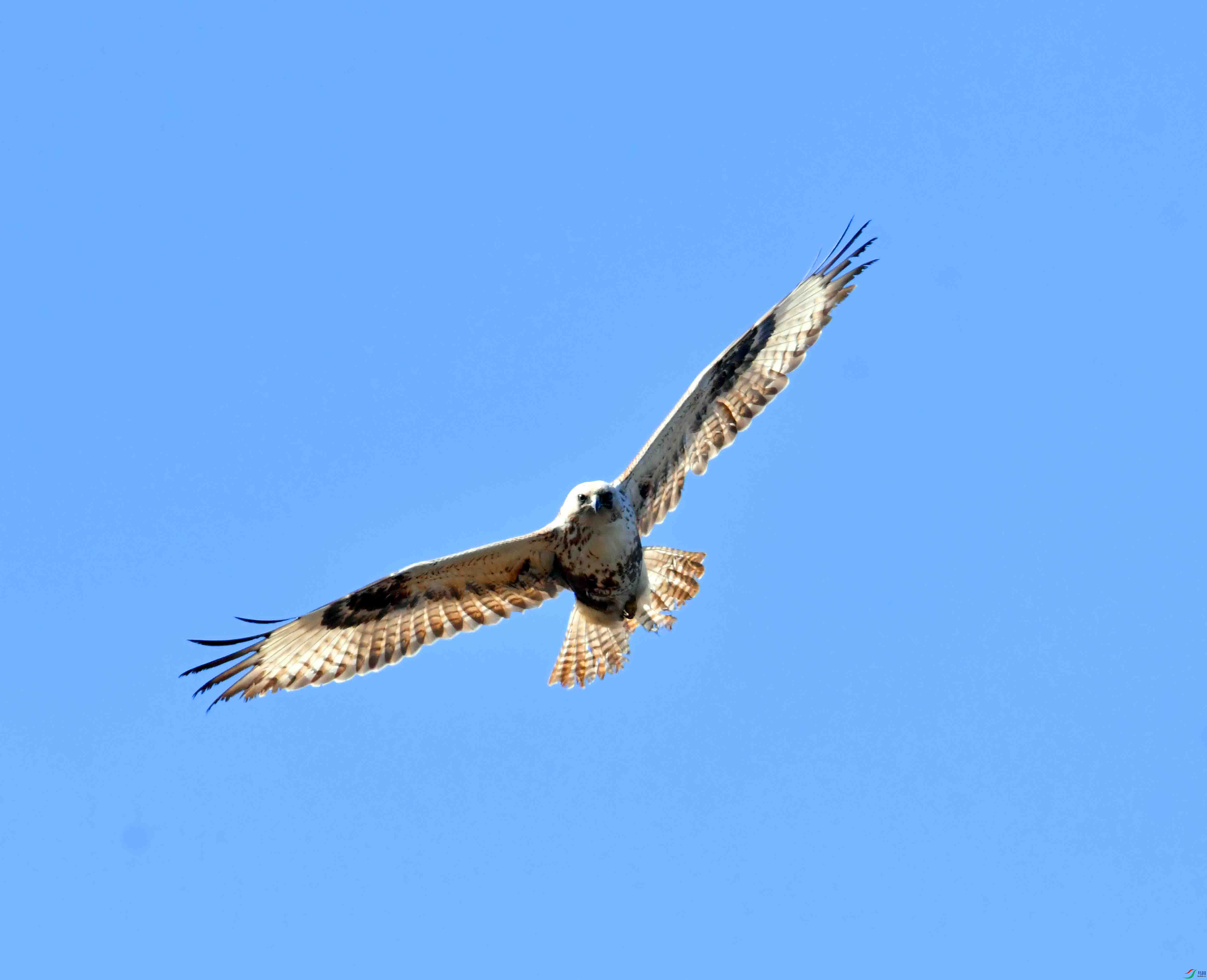 DSC_0893.JPG