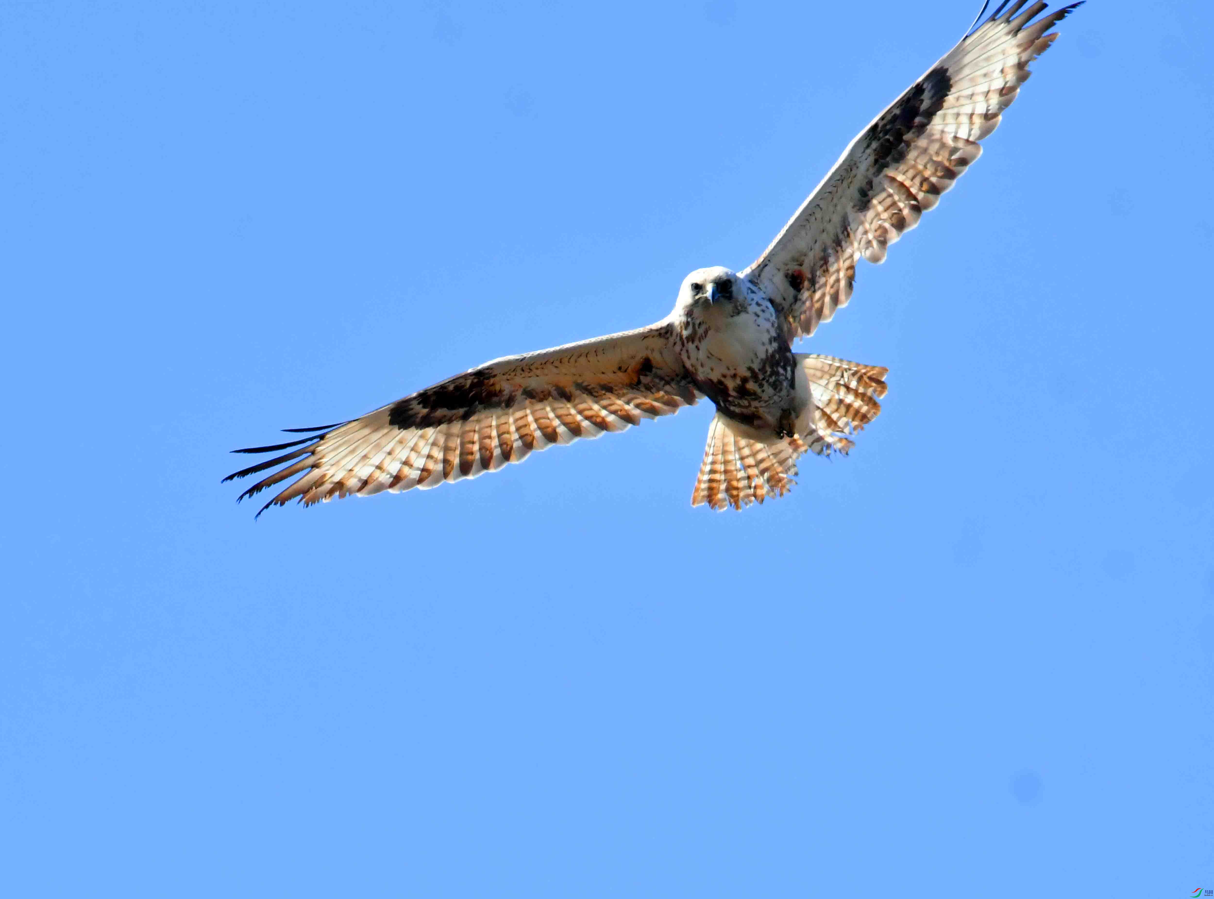 DSC_0895.JPG