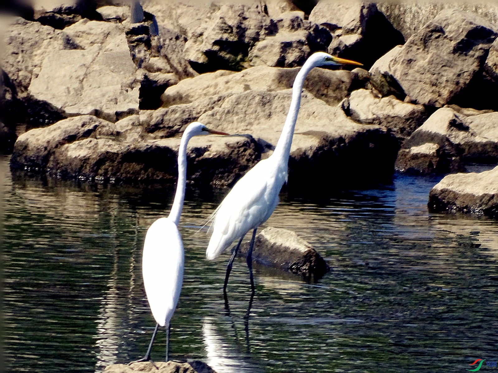 DSC03453_����.jpg