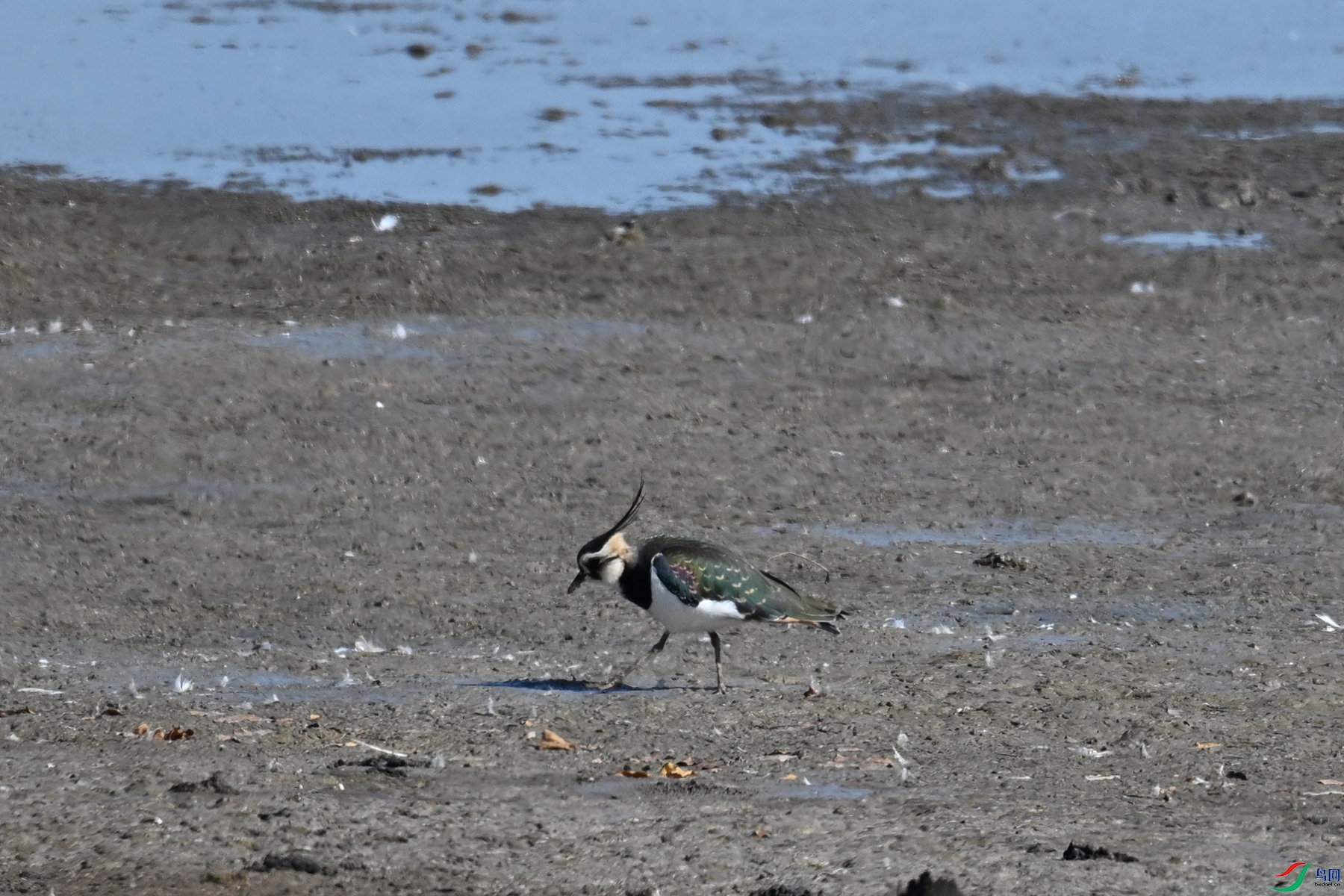 DSC_8192.JPG