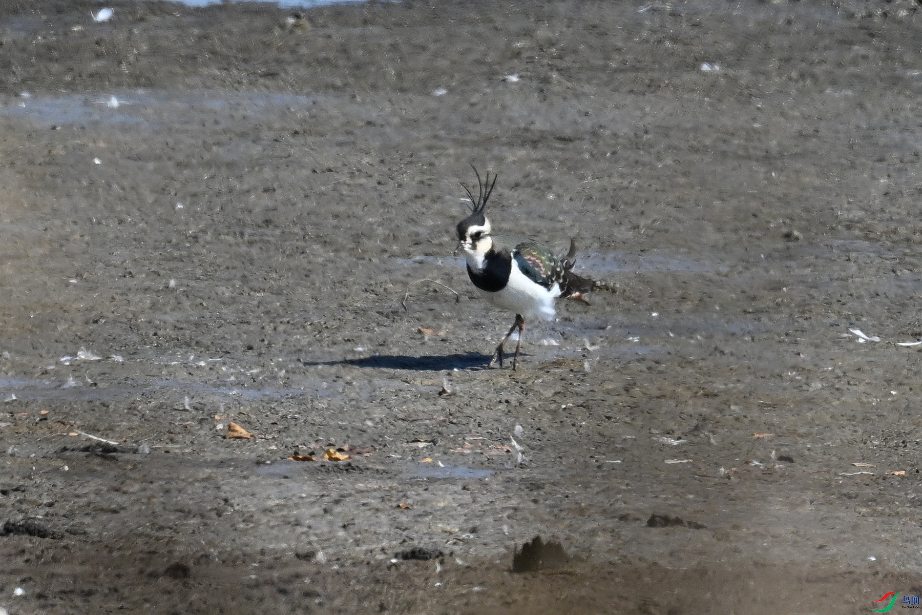 DSC_8190.JPG