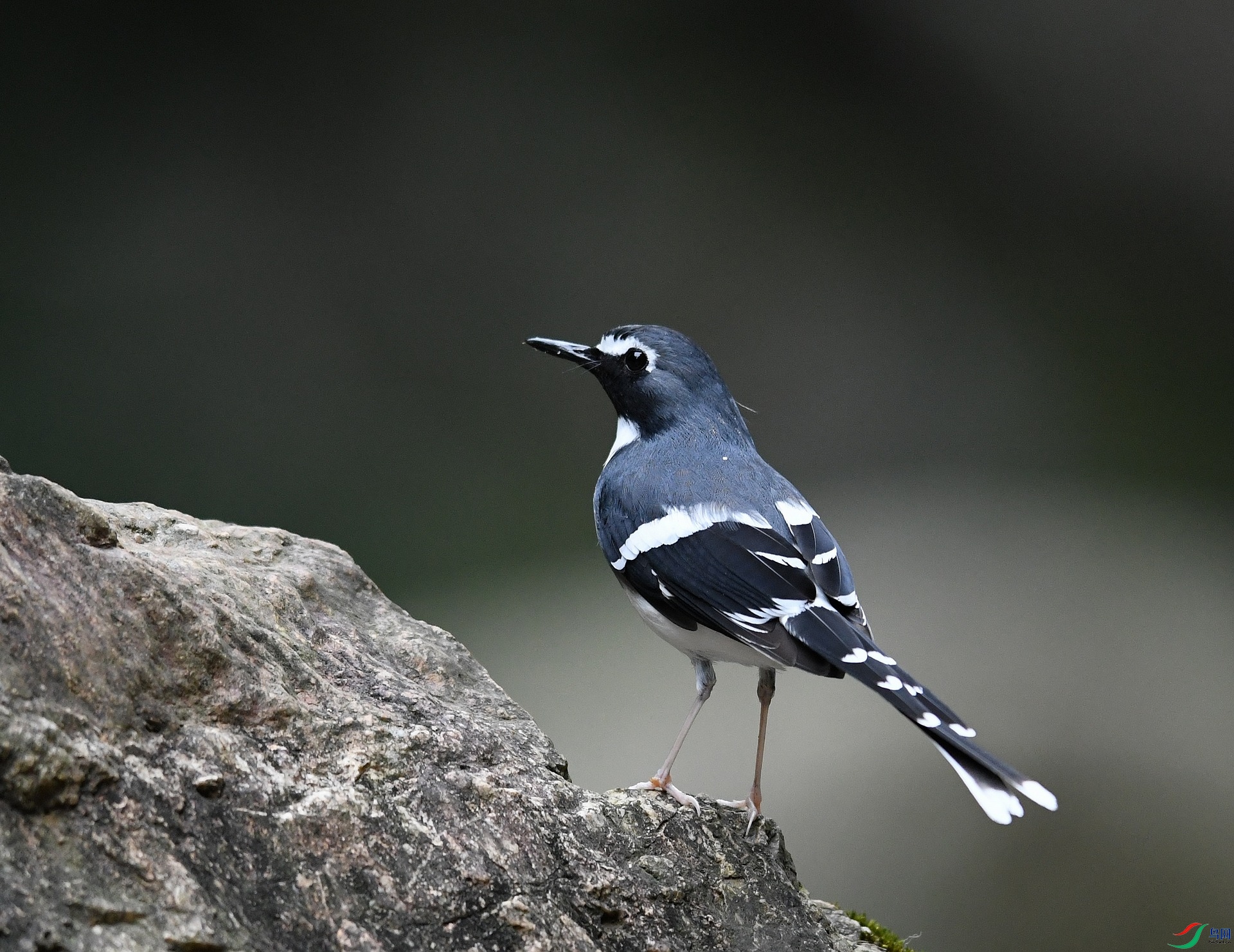 DSC_9878.jpg