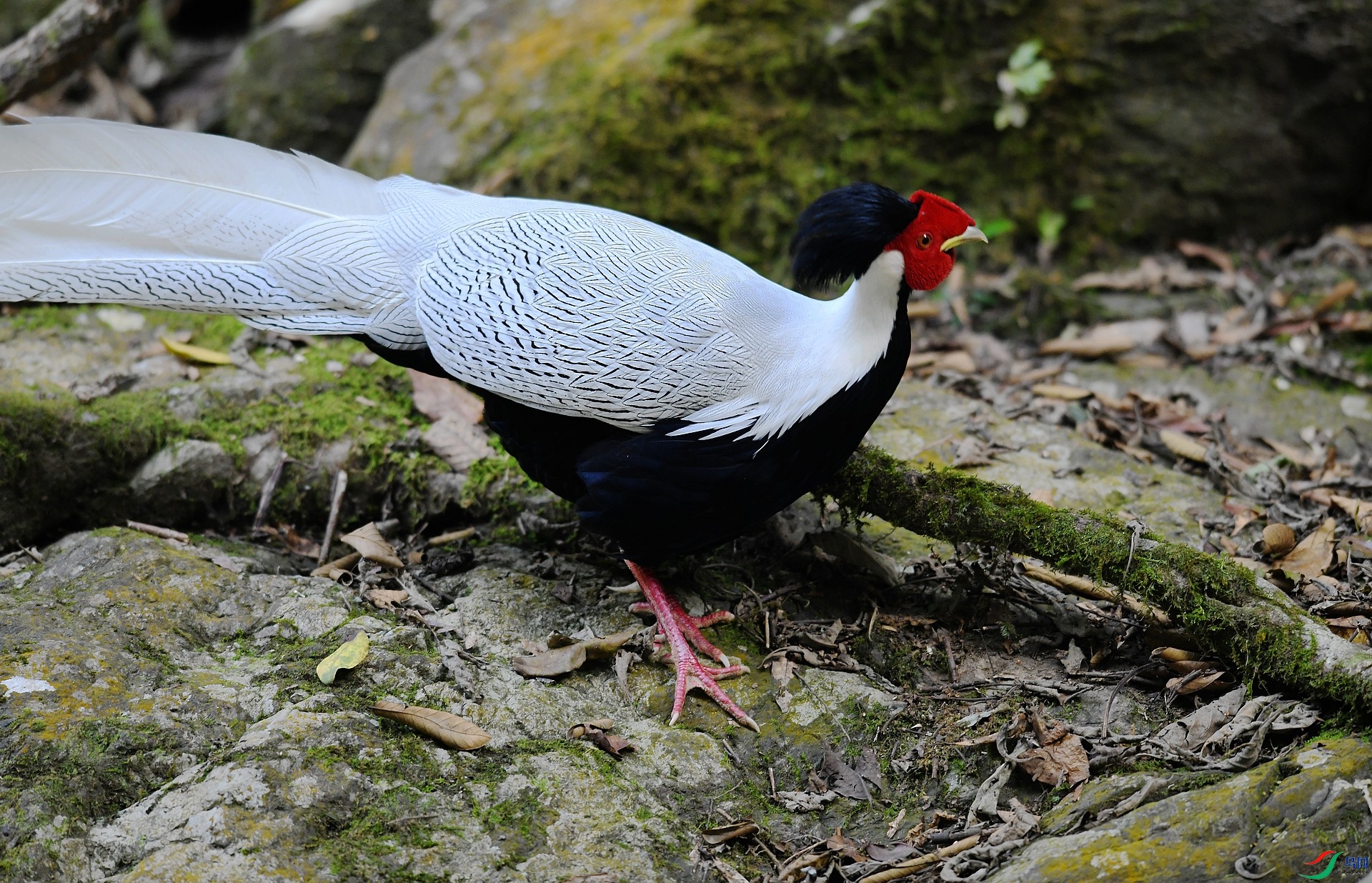 DSC_5614.jpg