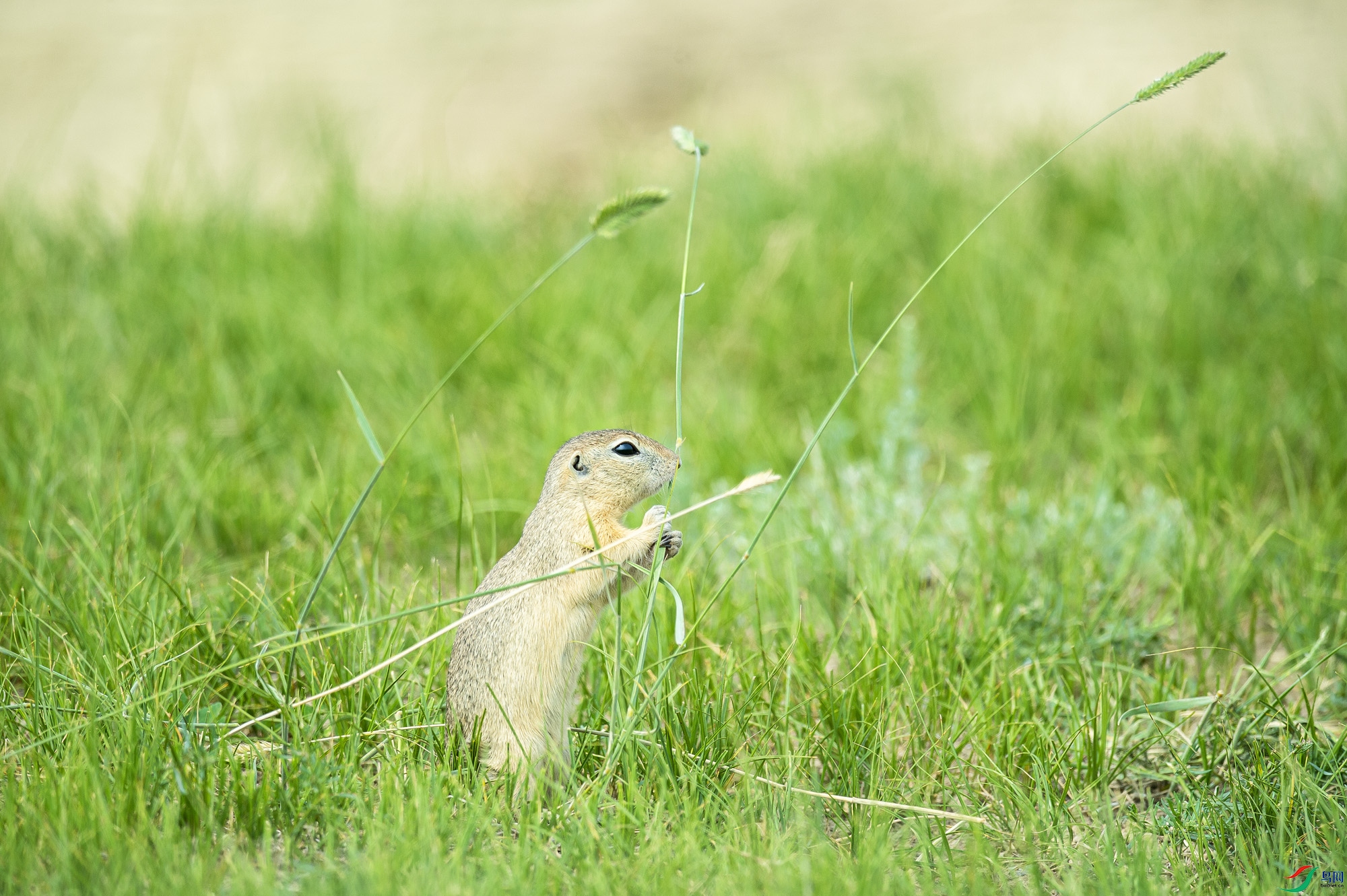 _DSC9787.jpg