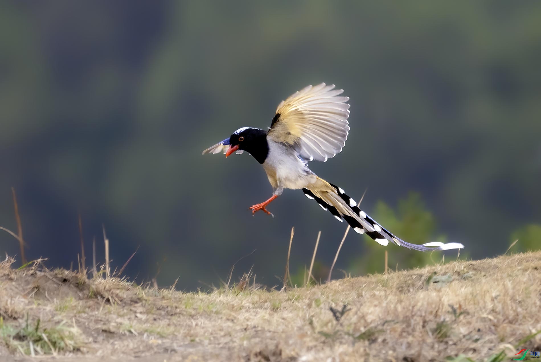 ���Ž���