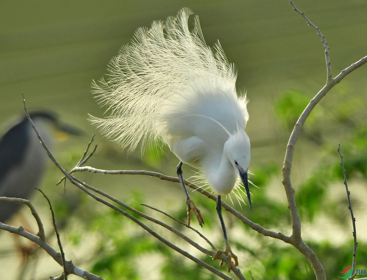 DSC_2175.jpg