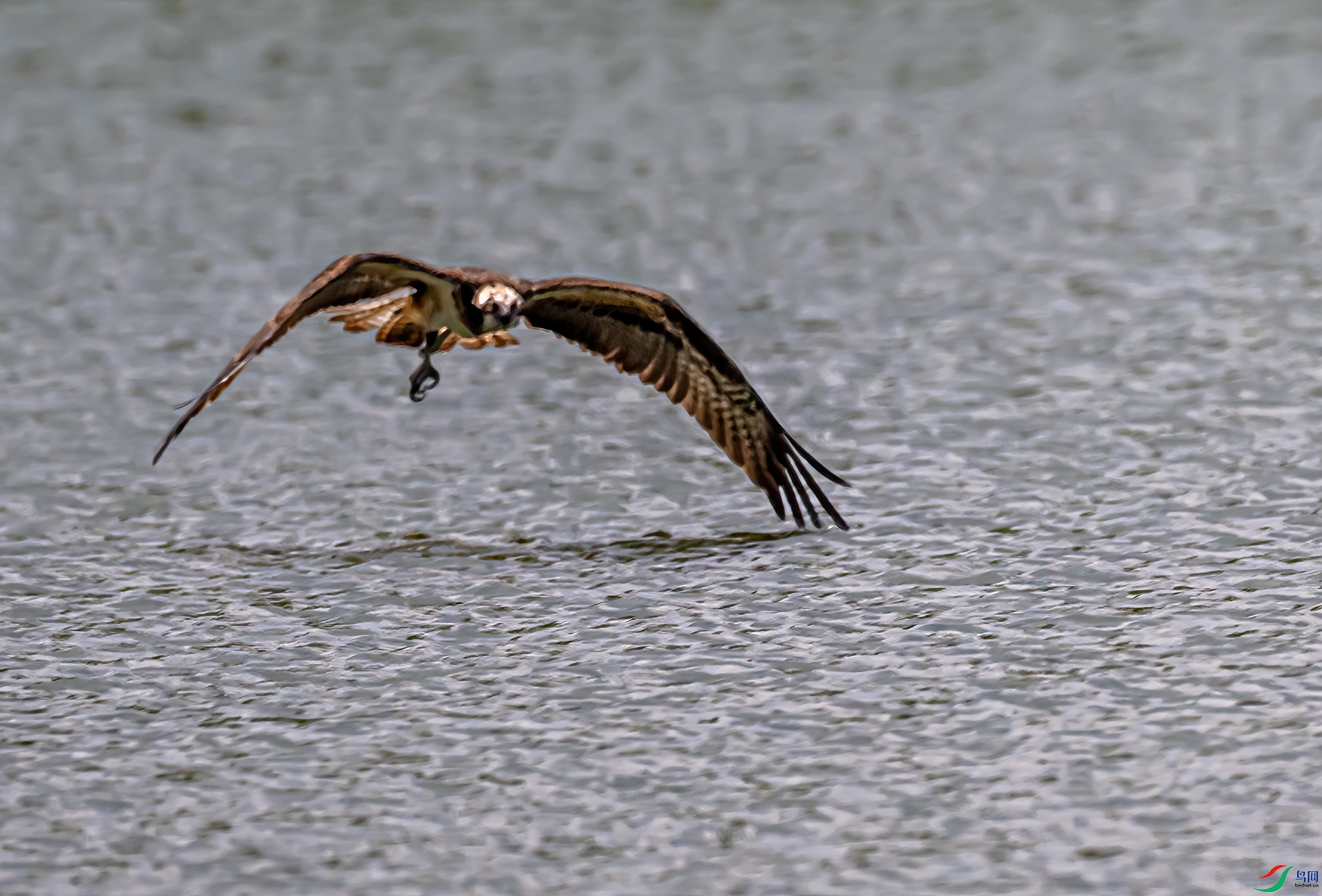 DSC_8904-11.jpg