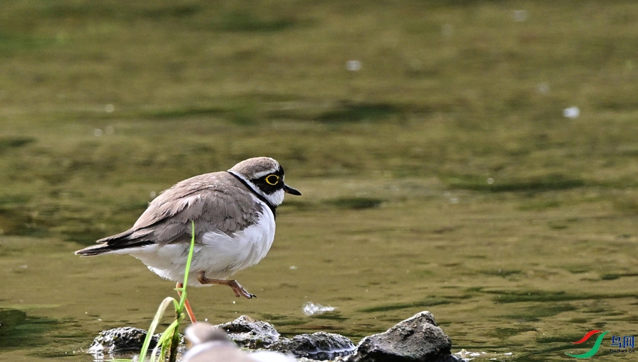 DSC_6841.JPG