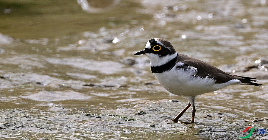 DSC_6931.JPG