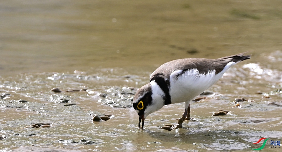 DSC_6956.JPG