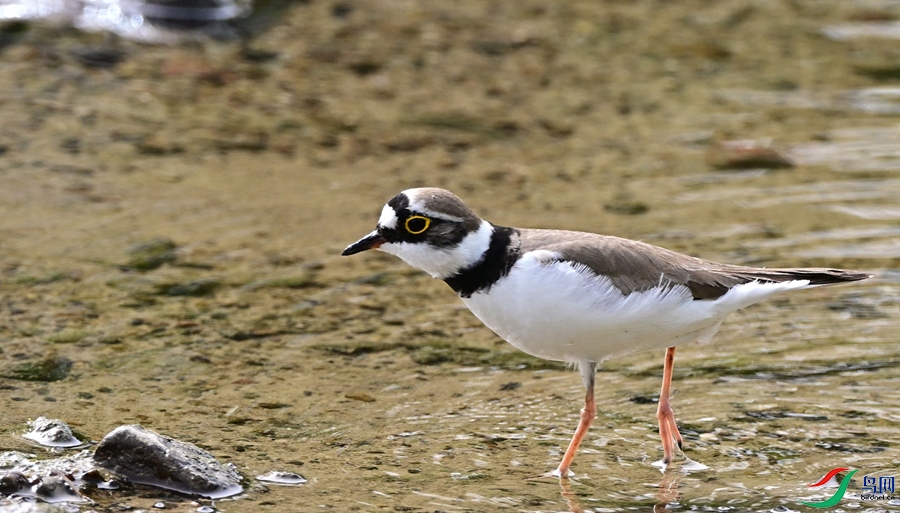DSC_7012.JPG