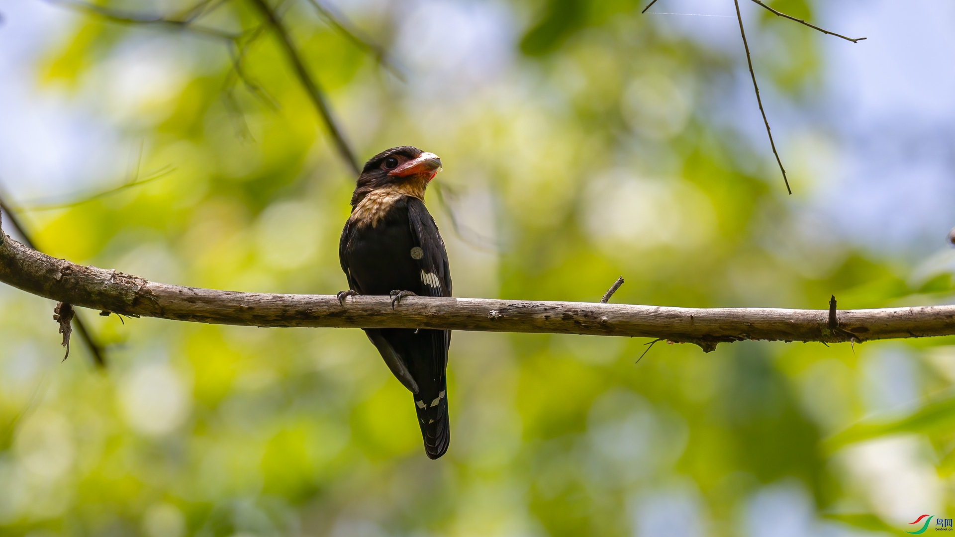 t_002527-�༭.jpg