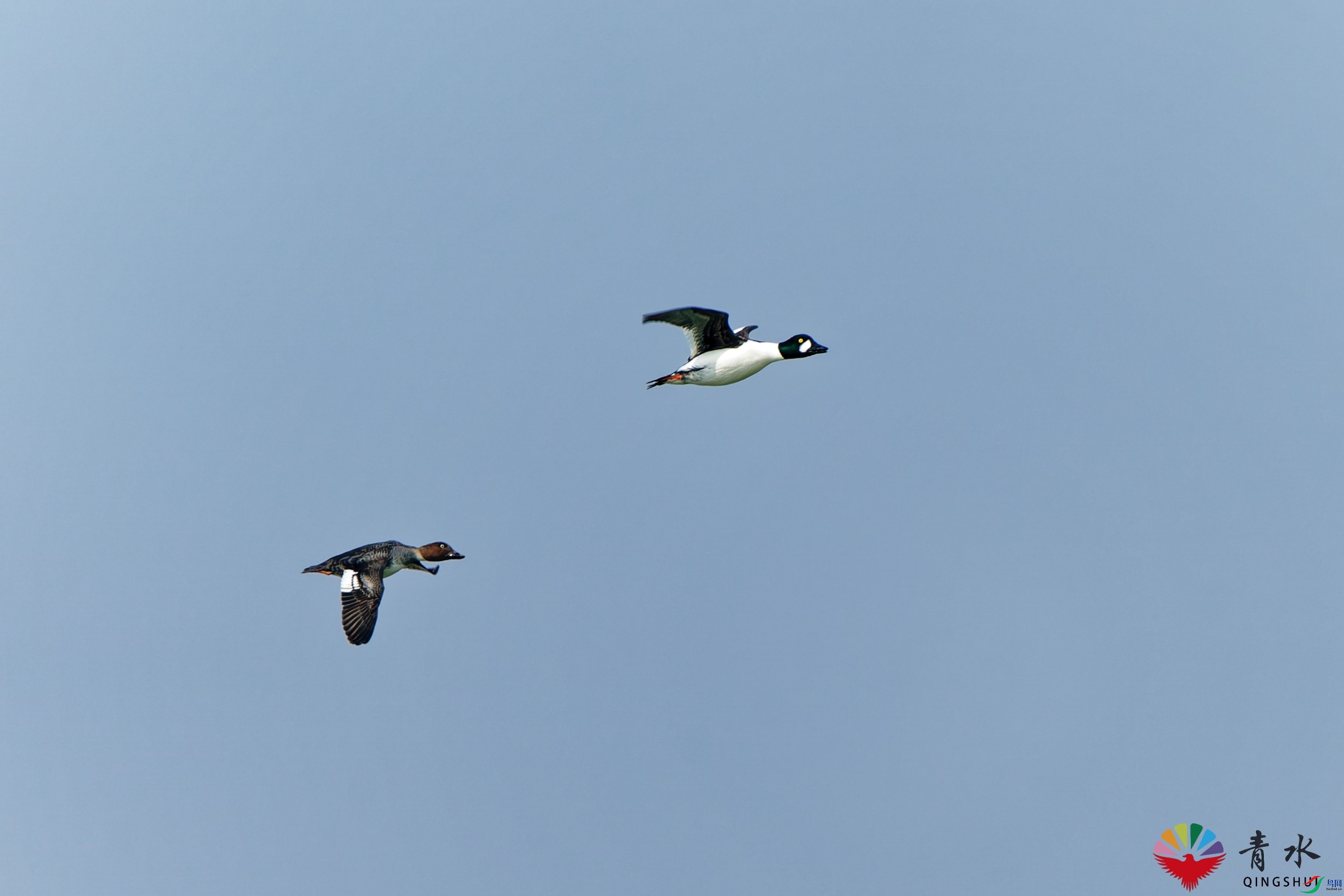 DSC06062_DxO.jpg