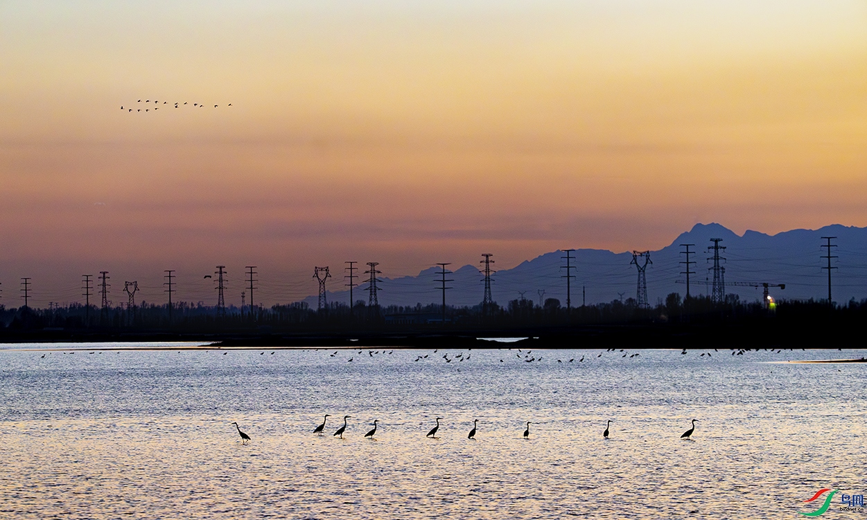 5H5A5165-����ǿ-NR ����.jpg