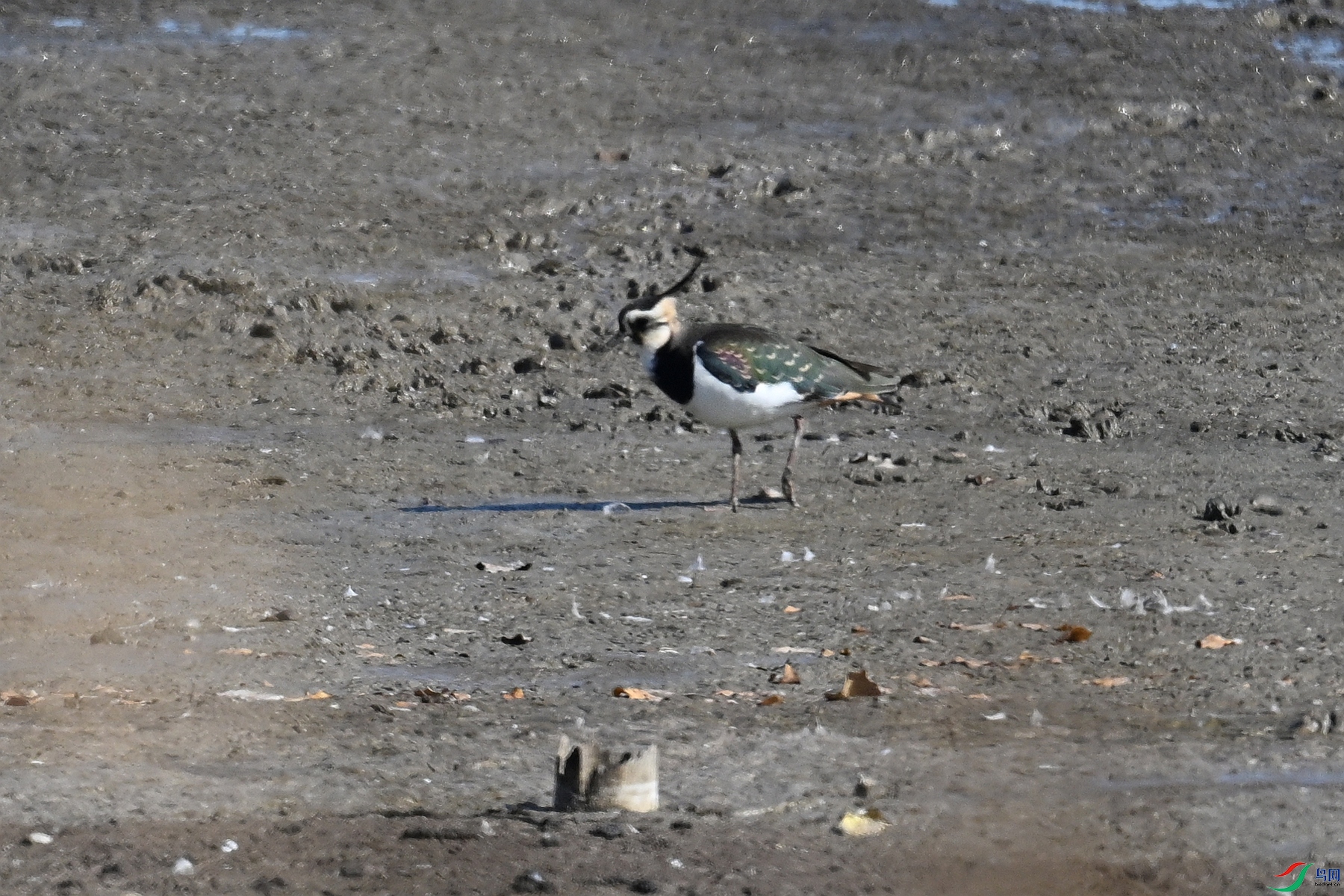 DSC_8183.JPG