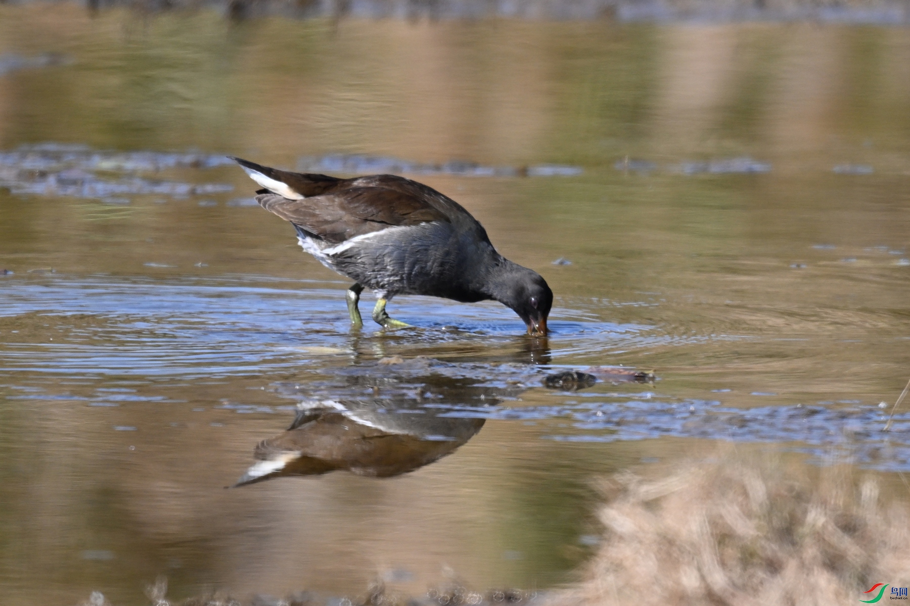 DSC_8203.JPG