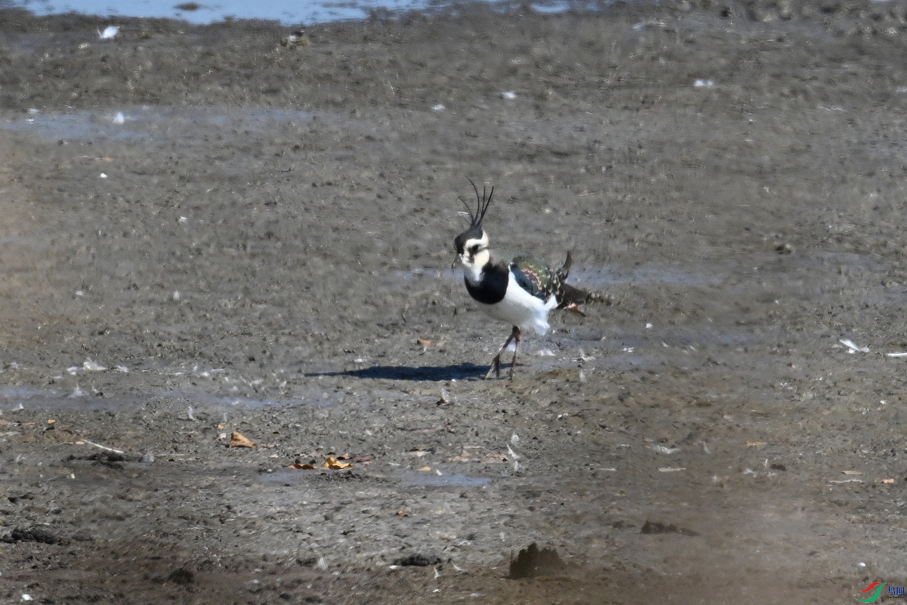 DSC_8189.JPG