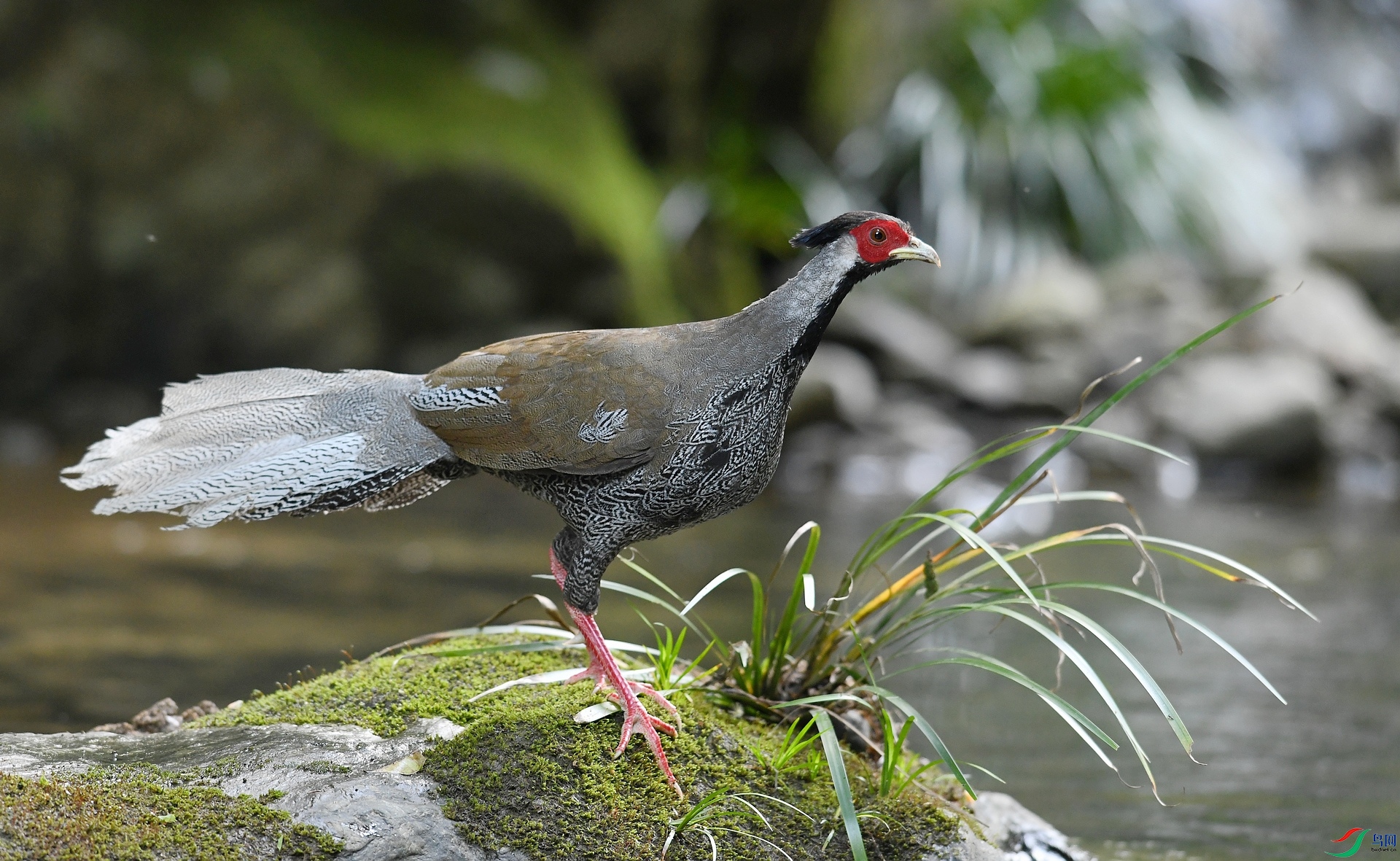 DSC_3296.jpg