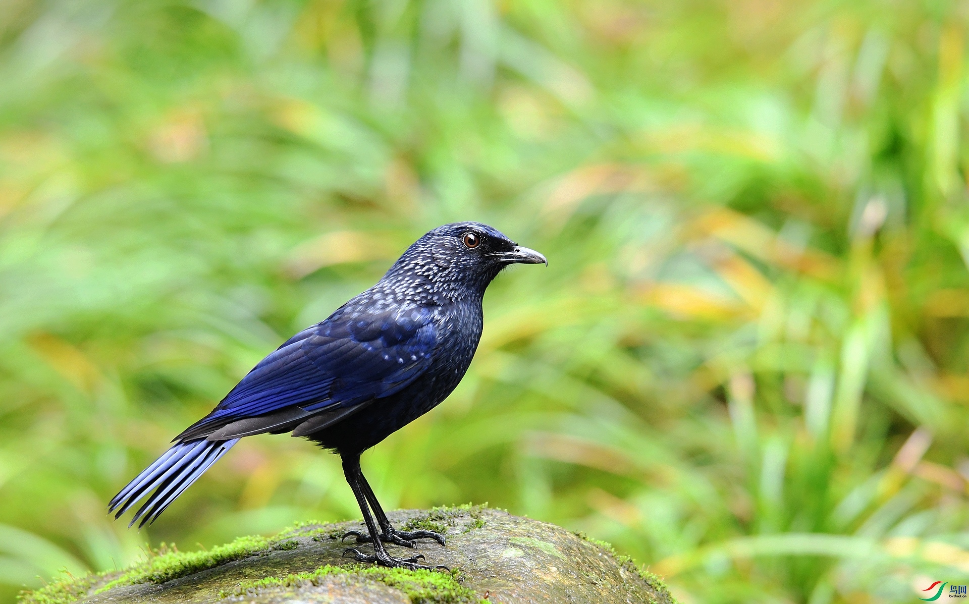 DSC_4302.jpg