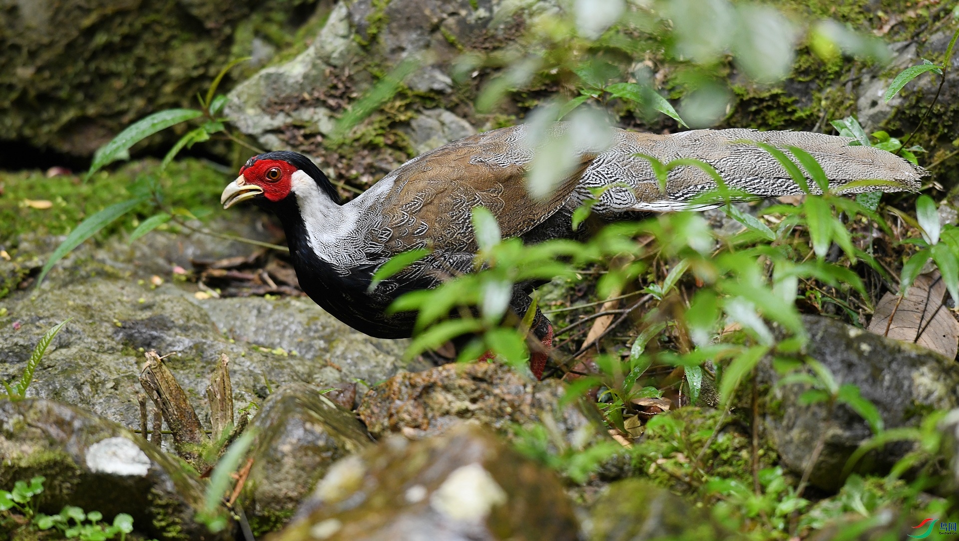 DSC_4076.jpg
