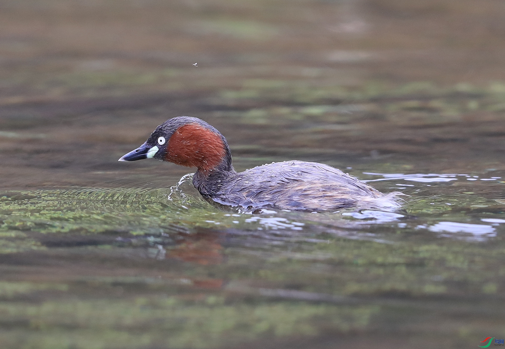 AI0I5001ˮ ��.JPG