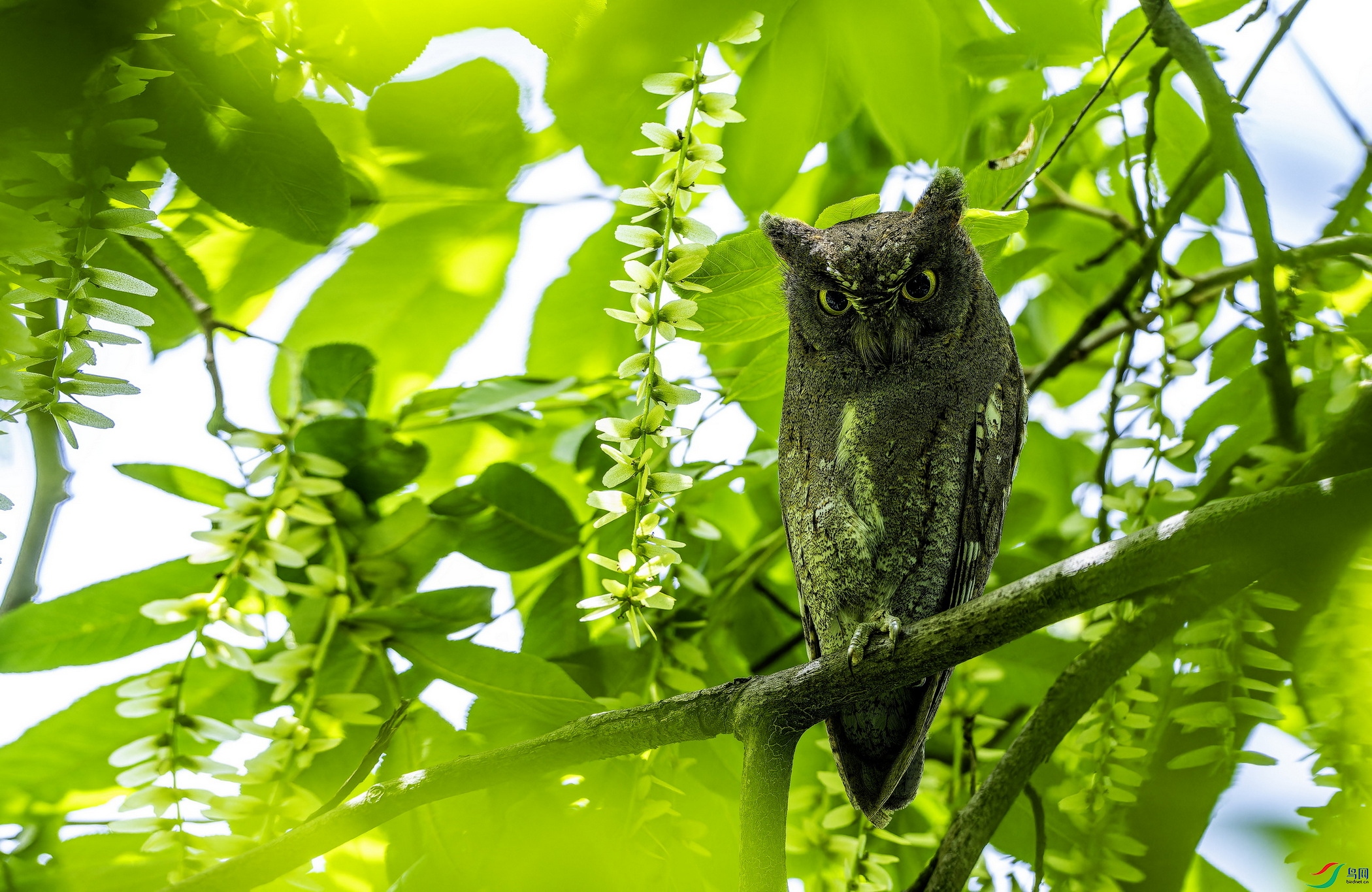 ����^ (2370)-1-1.jpg