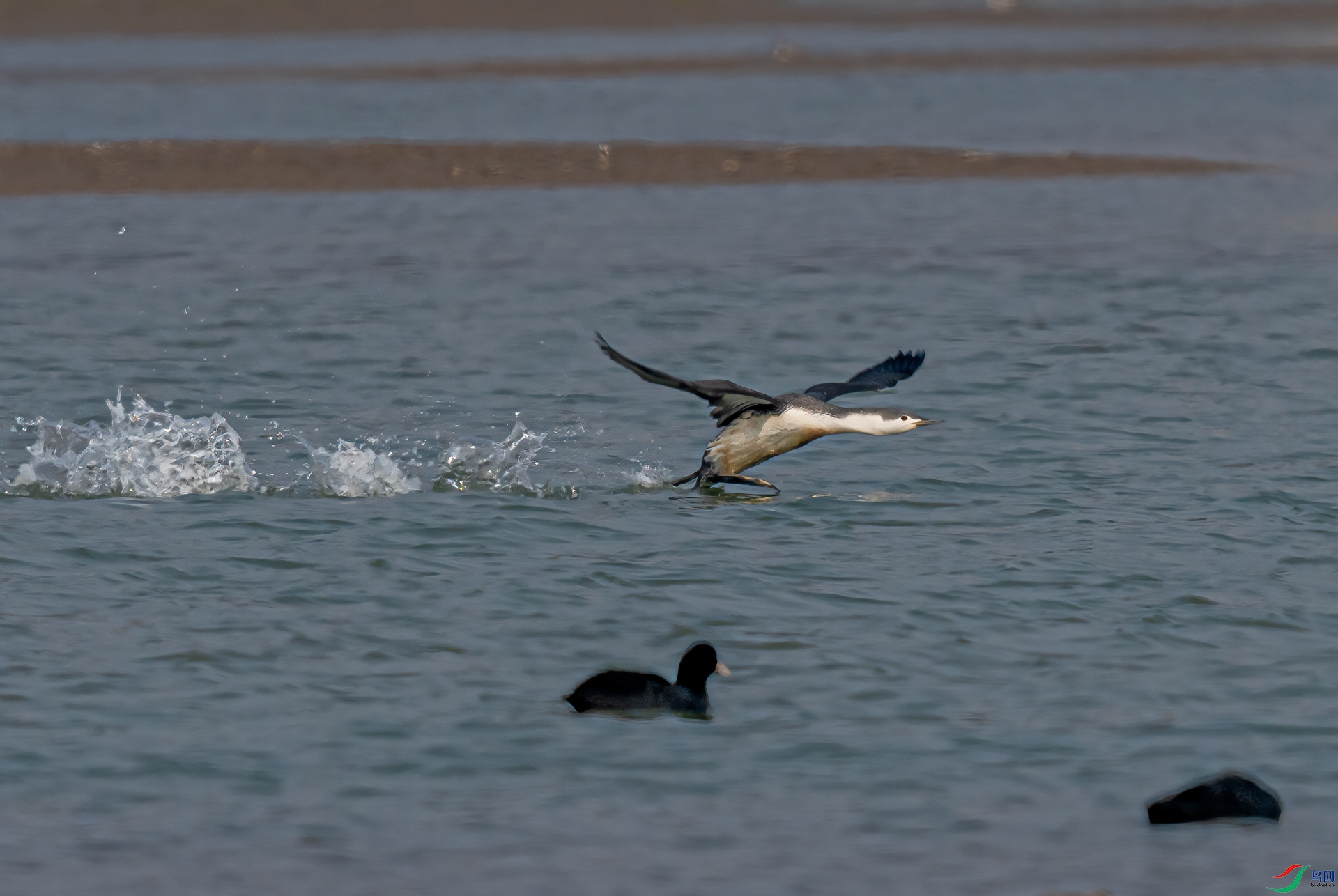 DSC_6099-11.jpg