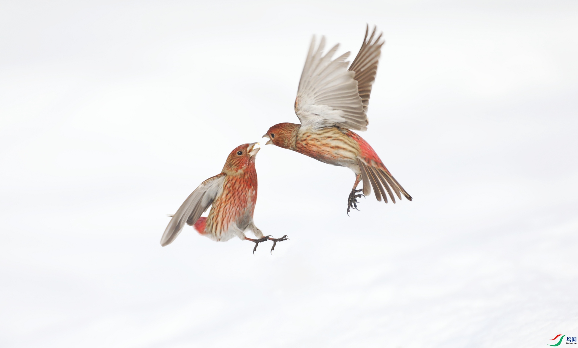 9G8A4051 ����.jpg