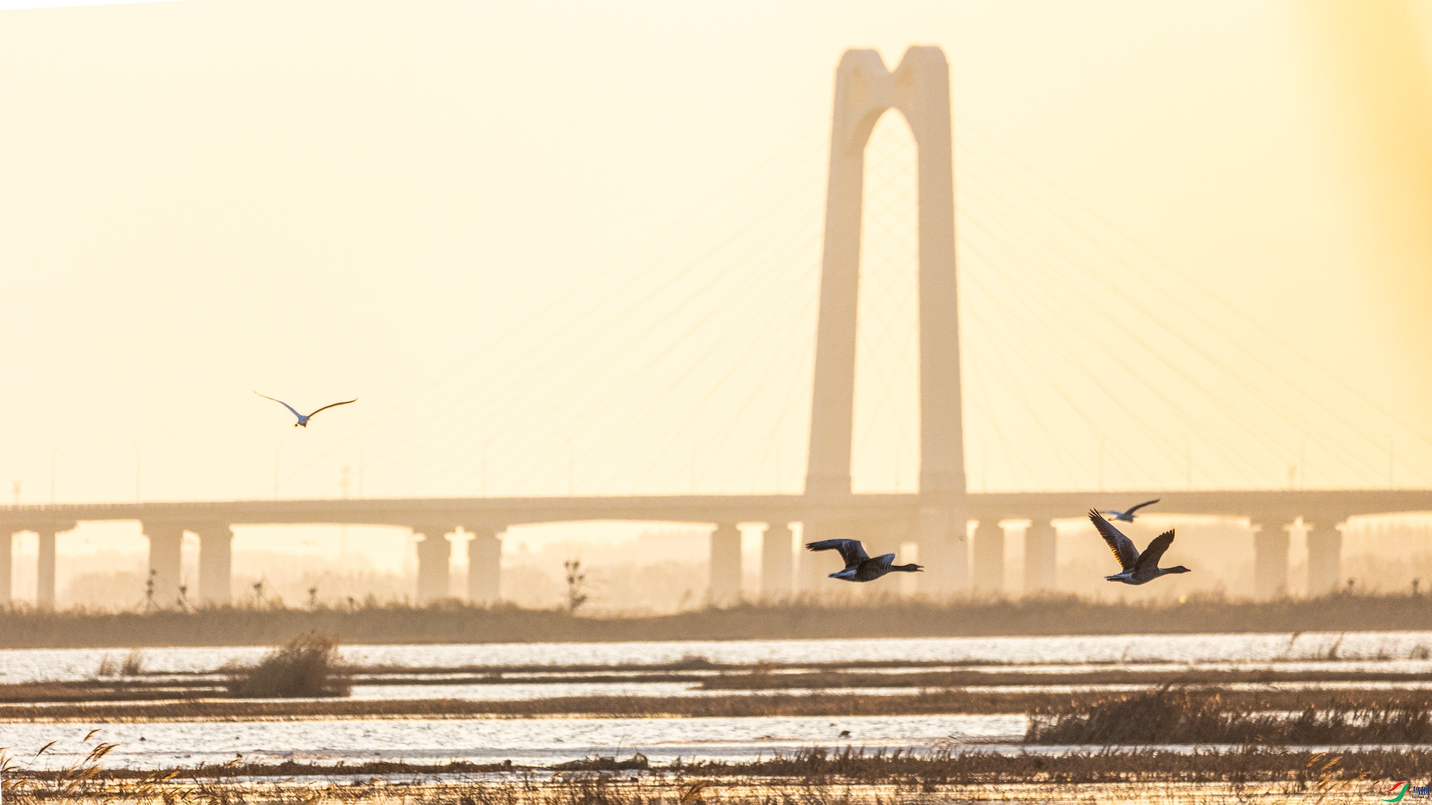 1K3A8306 ����1.jpg