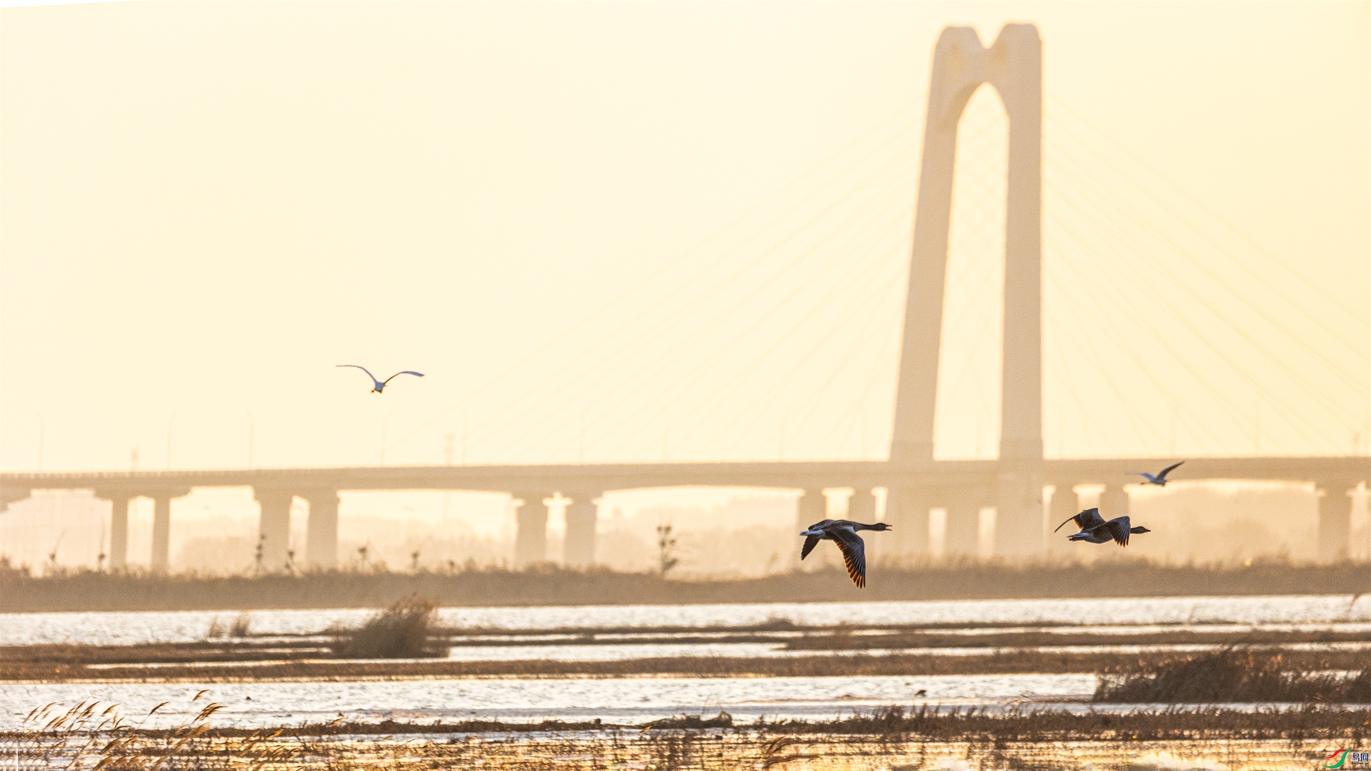 1K3A8305 ����1.jpg