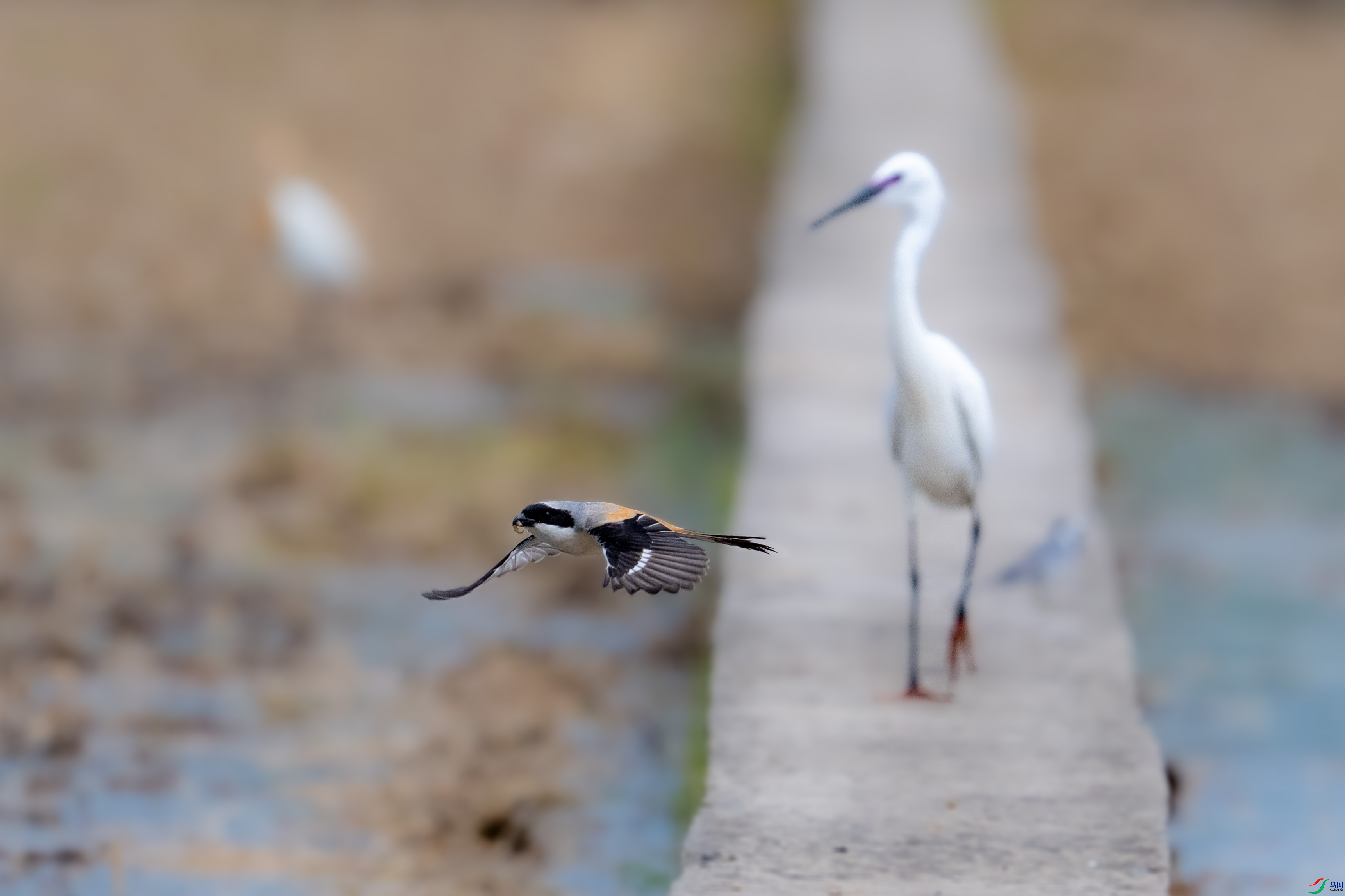 _ADS7390.jpg