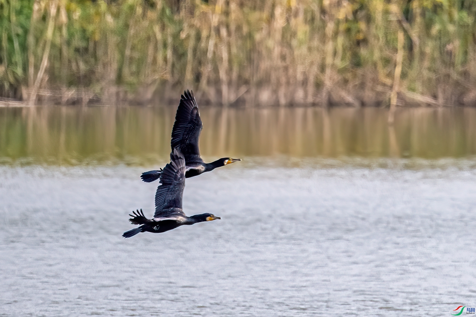 DSC_7881-11.jpg
