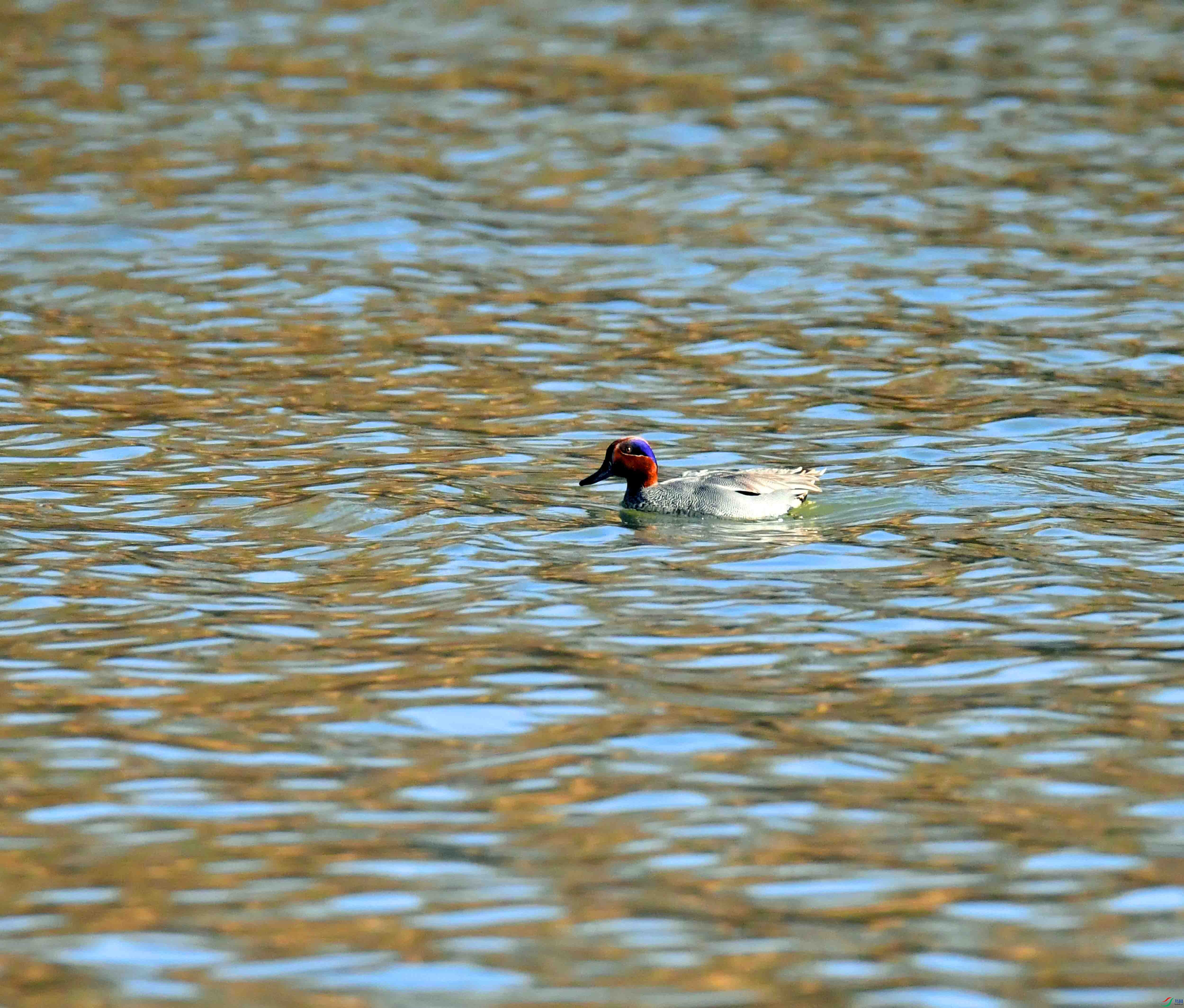 DSC_0188.JPG