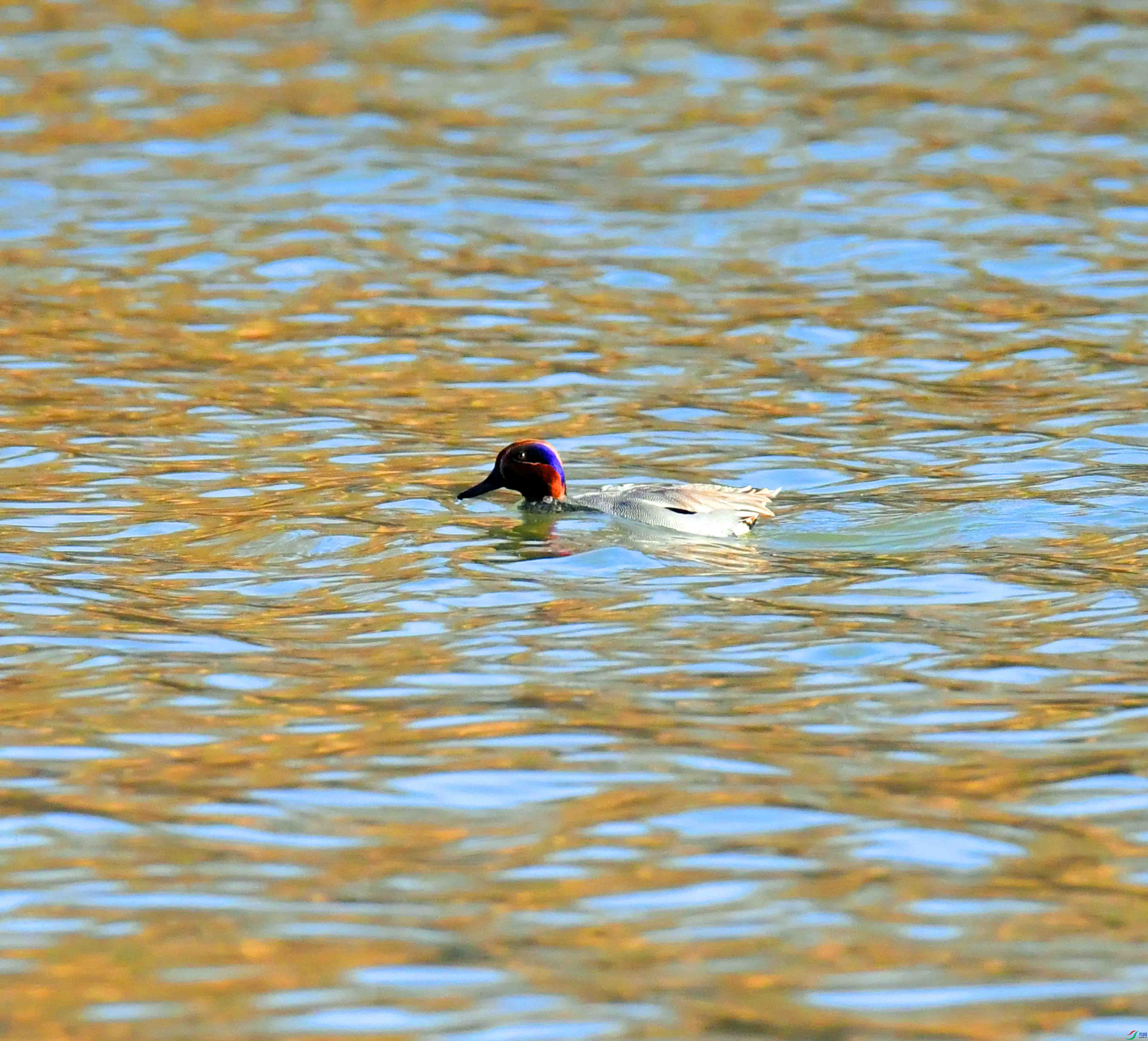 DSC_0189.JPG
