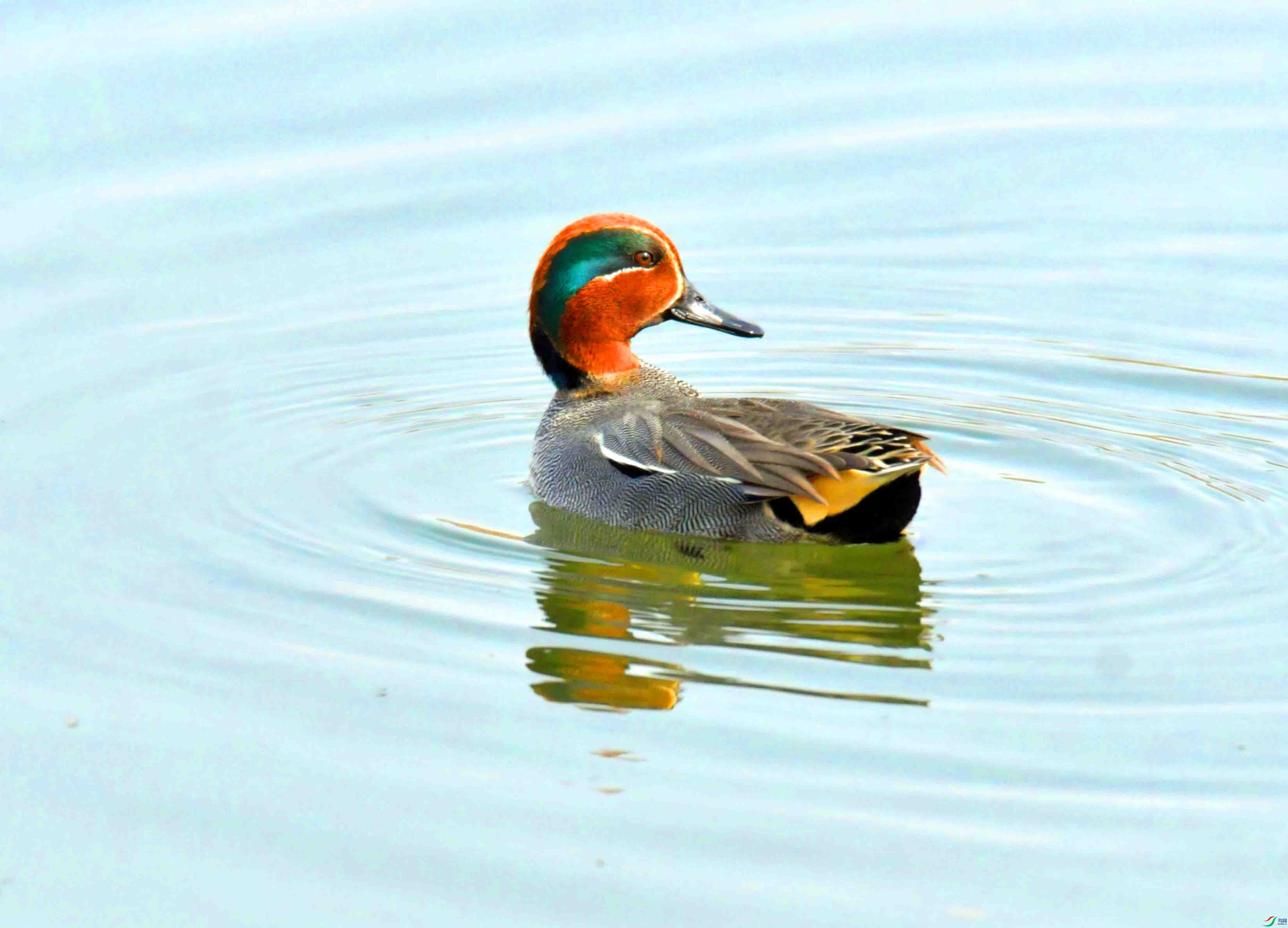 DSC_0938.JPG