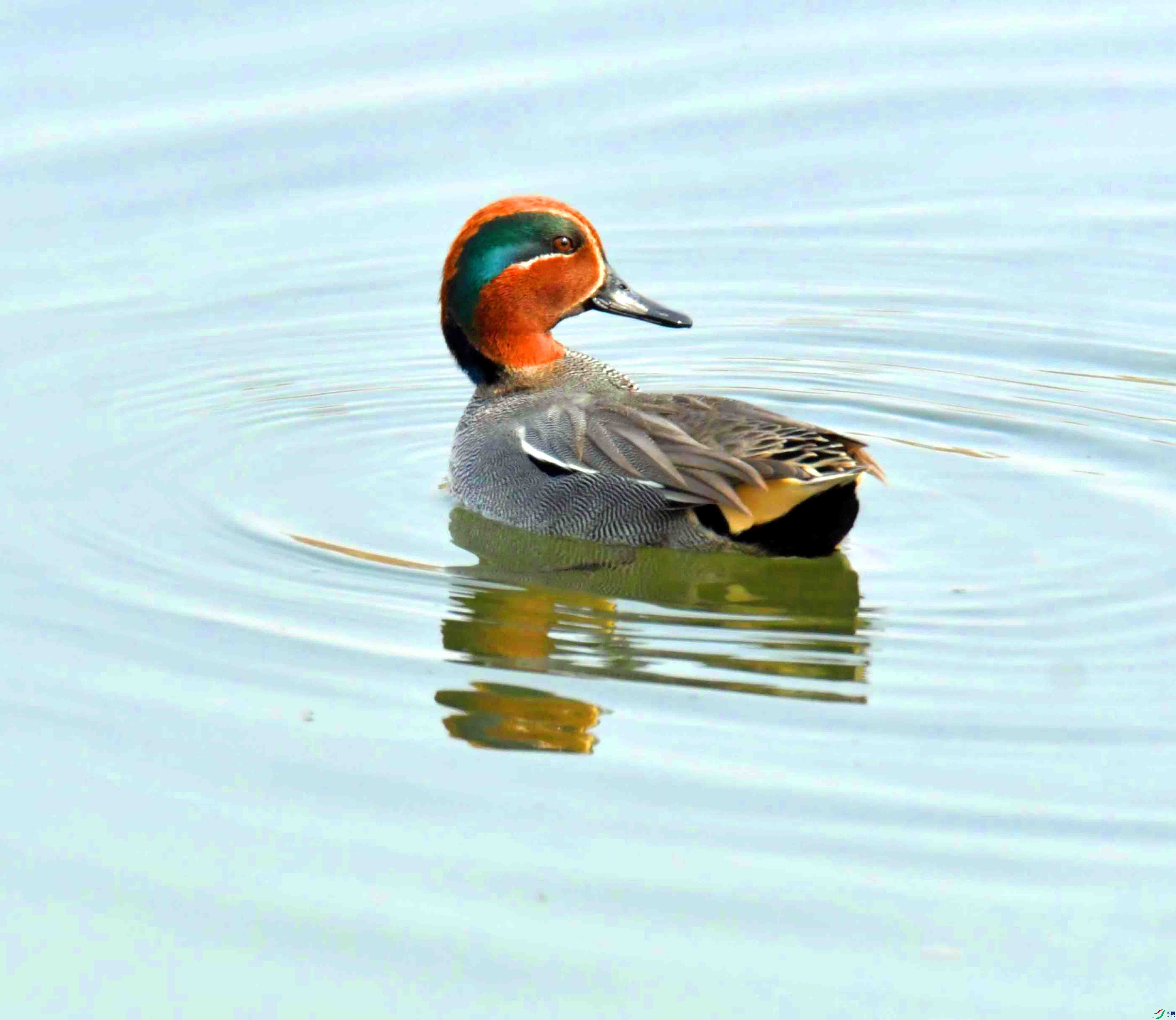 DSC_0939.JPG