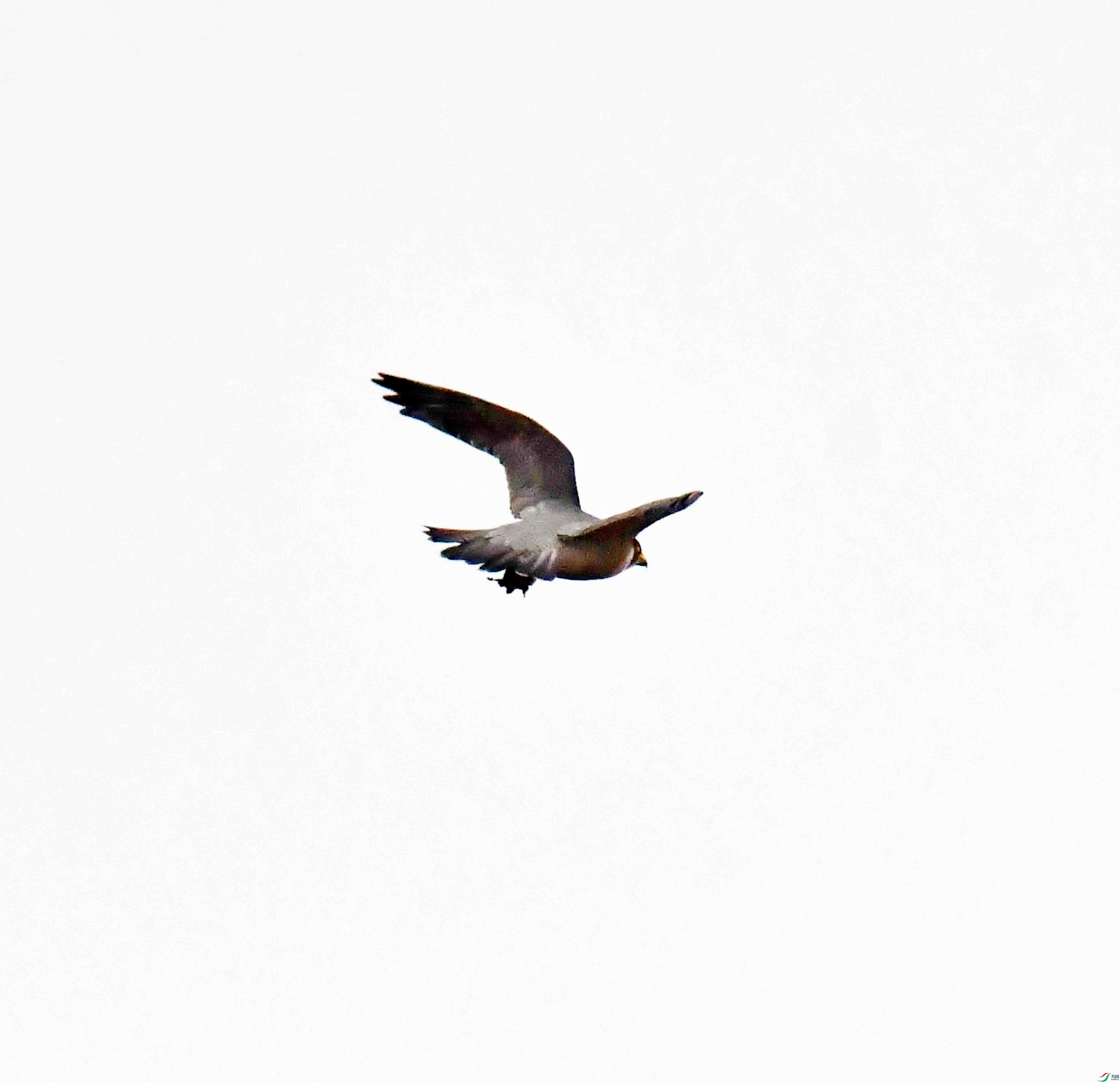 DSC_3193.JPG