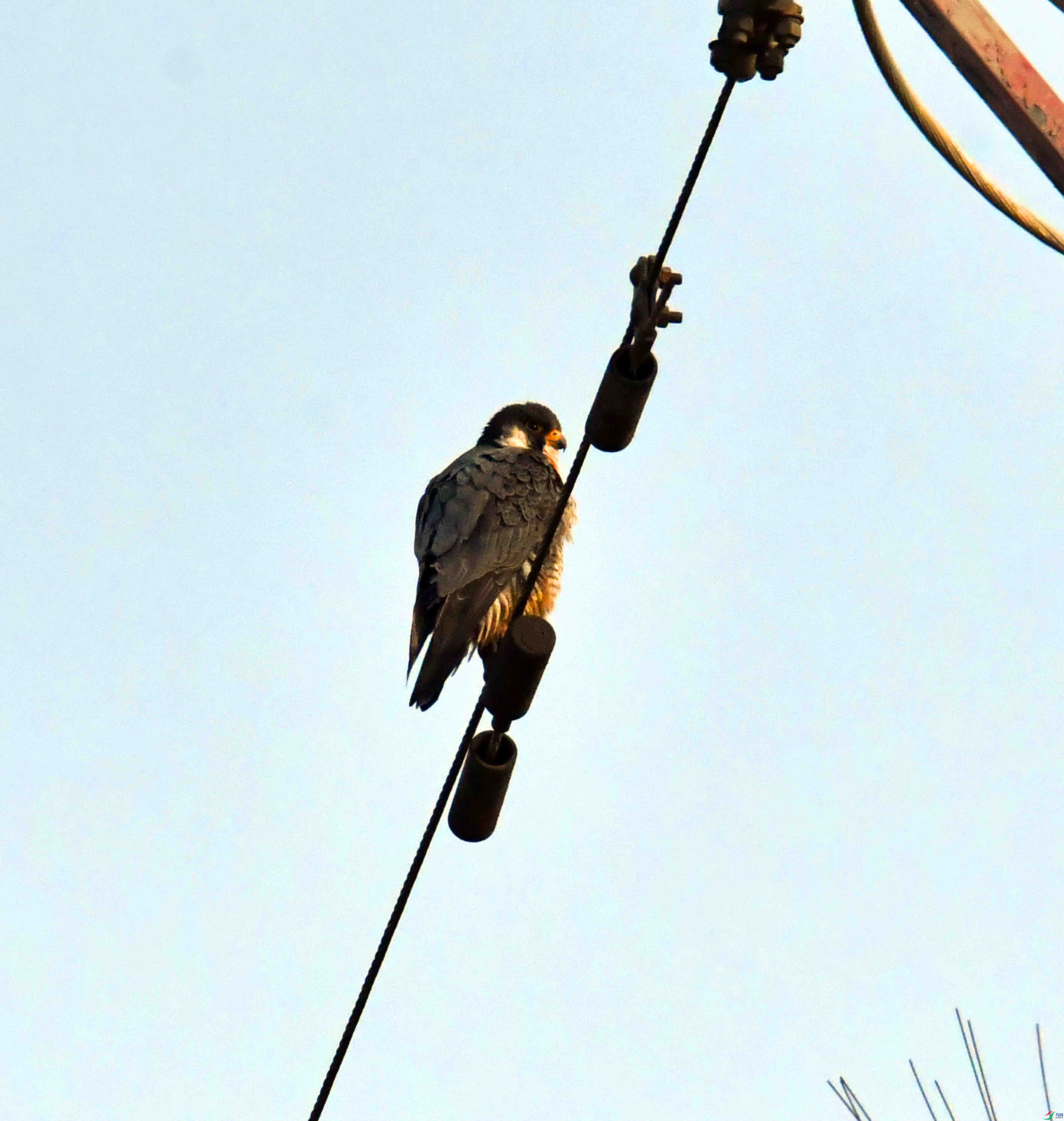 DSC_5349.JPG