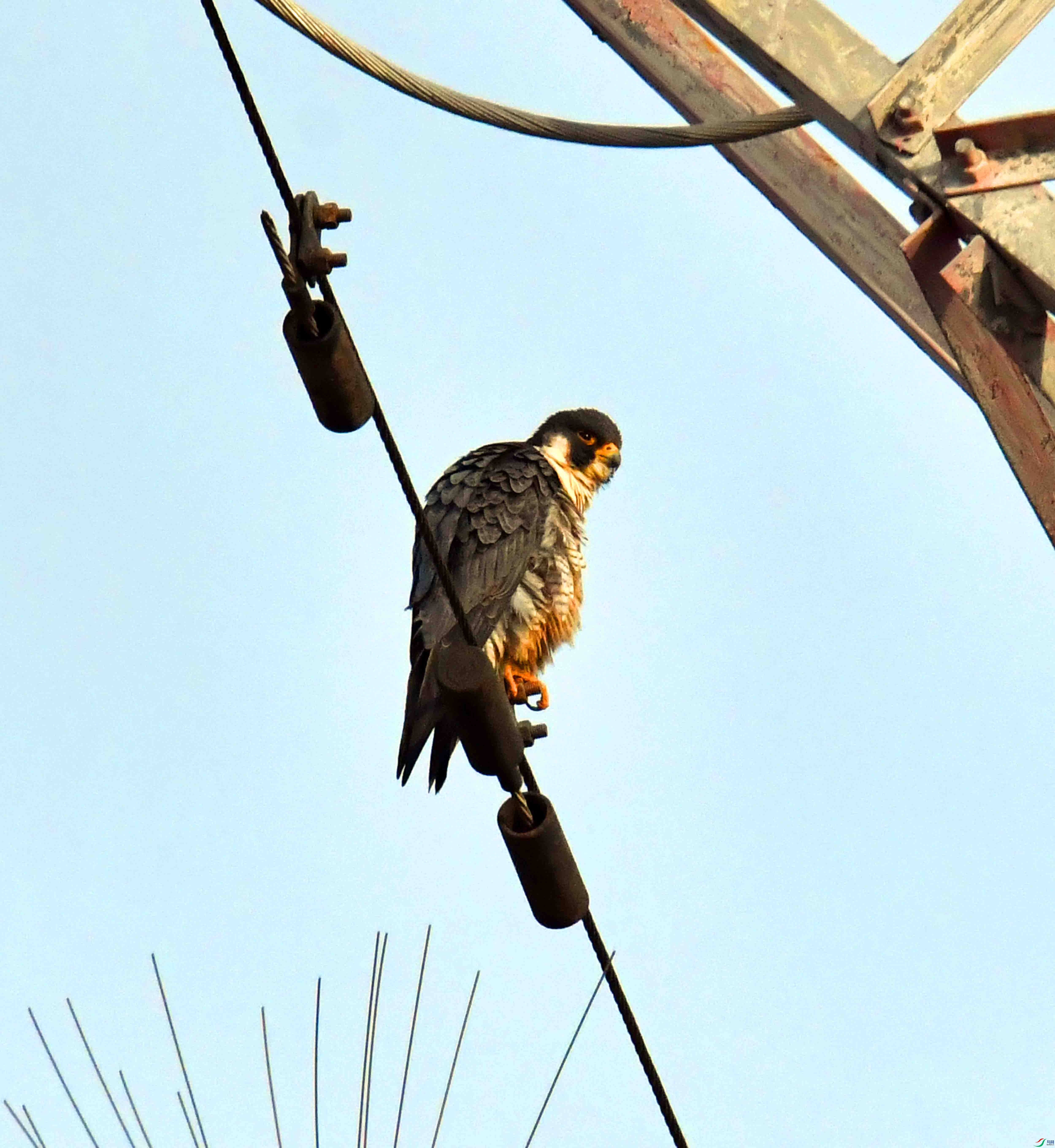 DSC_5364.JPG